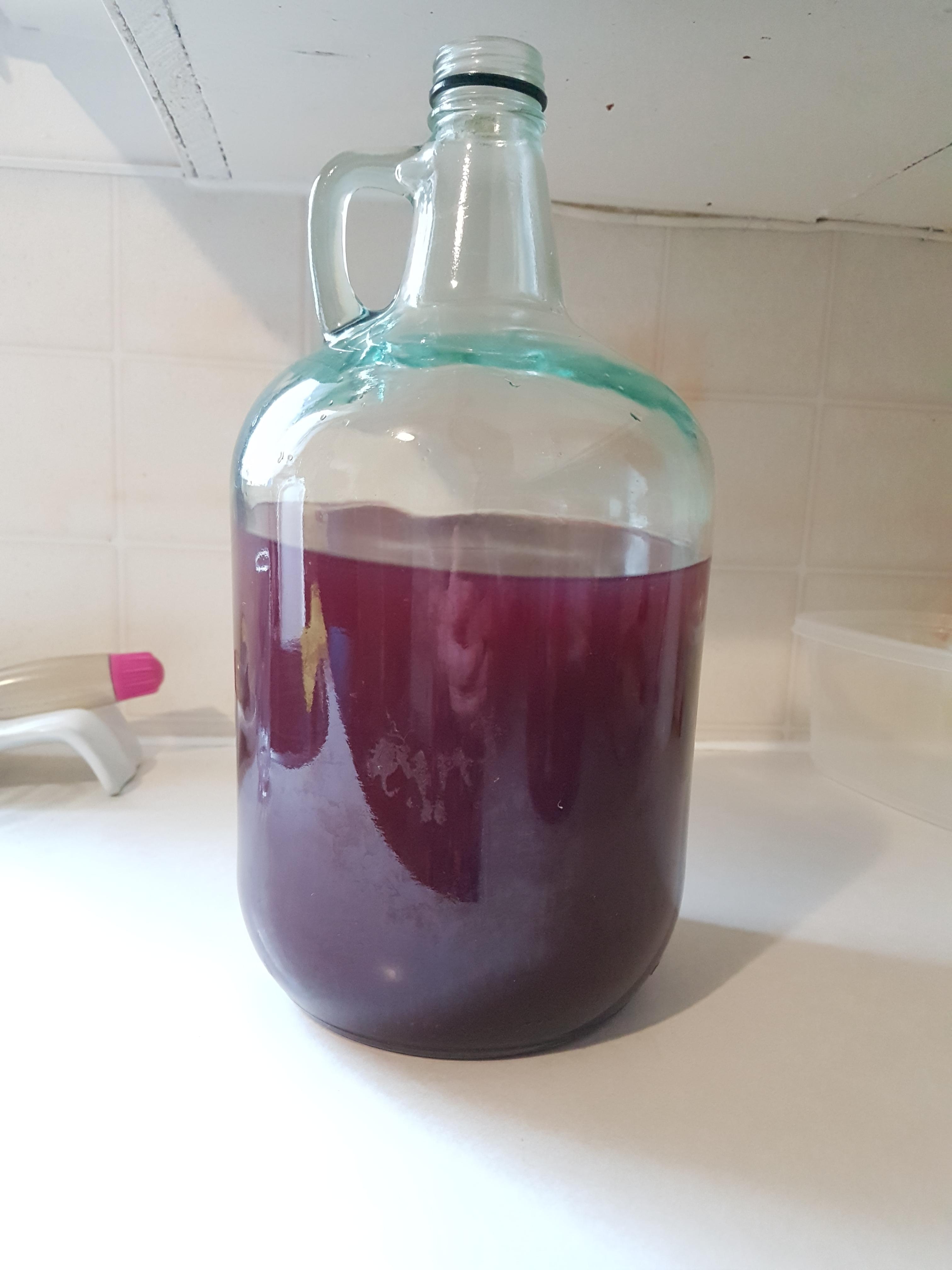 2nd batch of mead ever. Blueberry mead. Turned out amazing. Very sweet