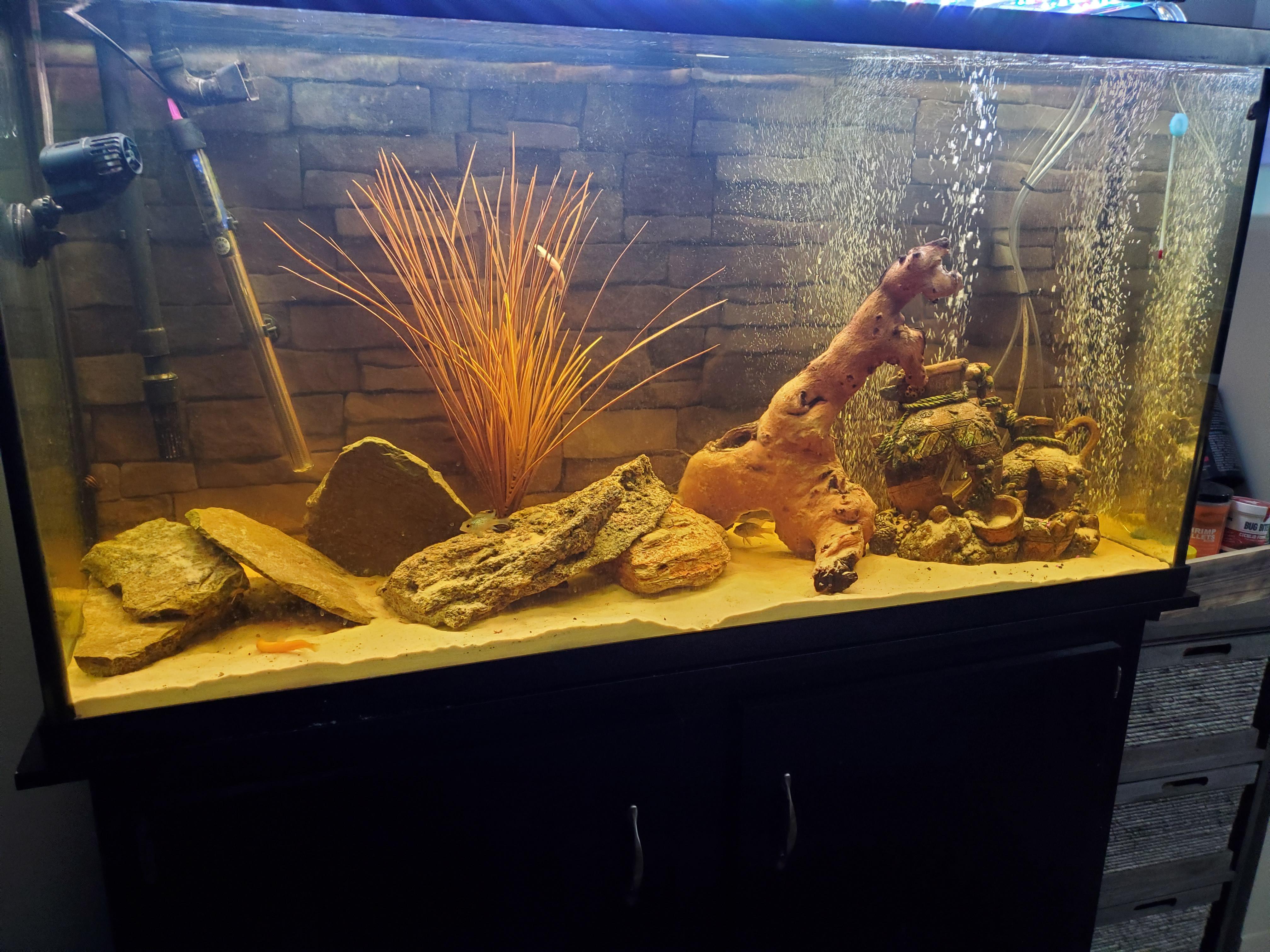 Aquarium background cheap alternative waterproof wallpaper r/Aquariums