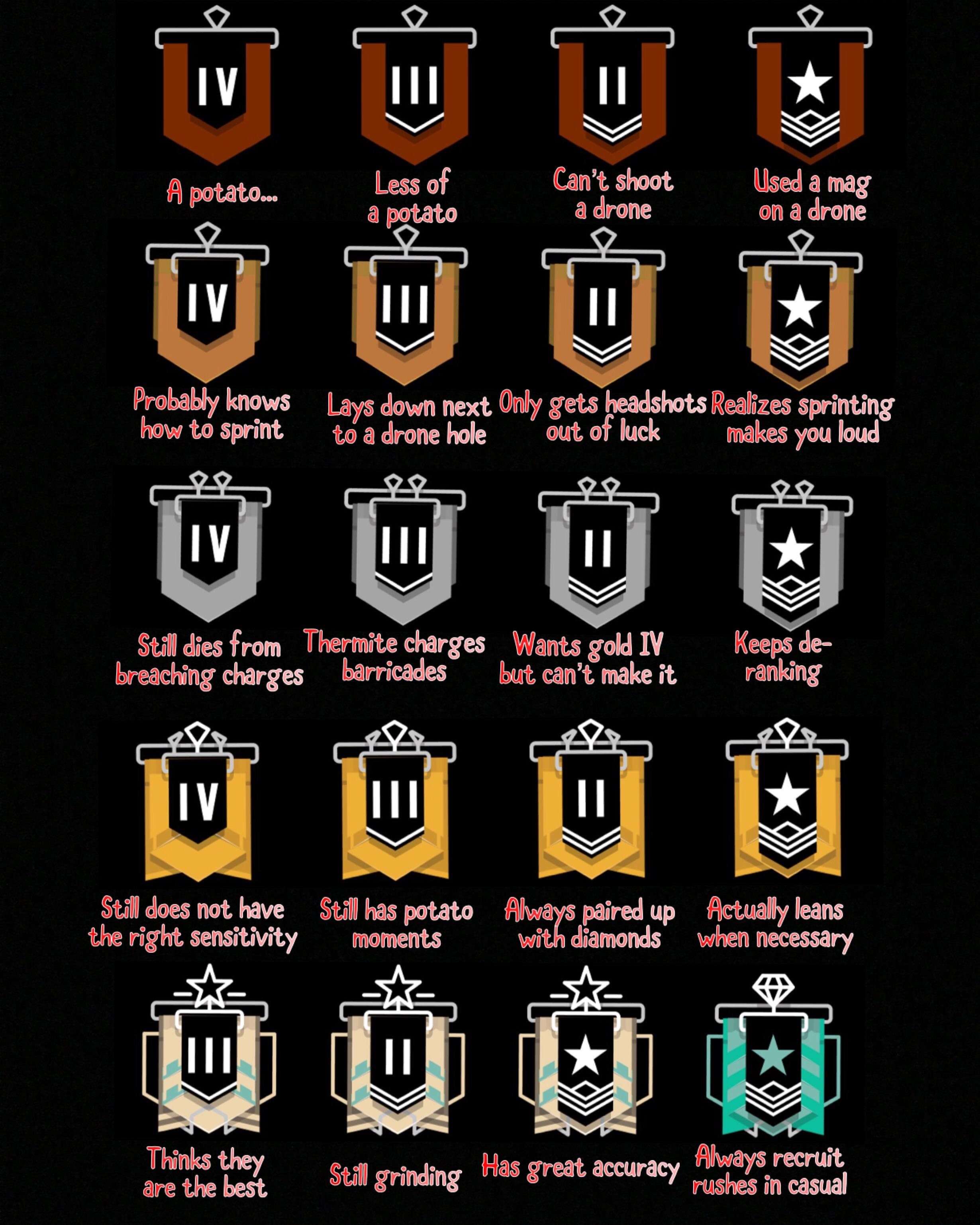 Accurate?? r/Rainbow6