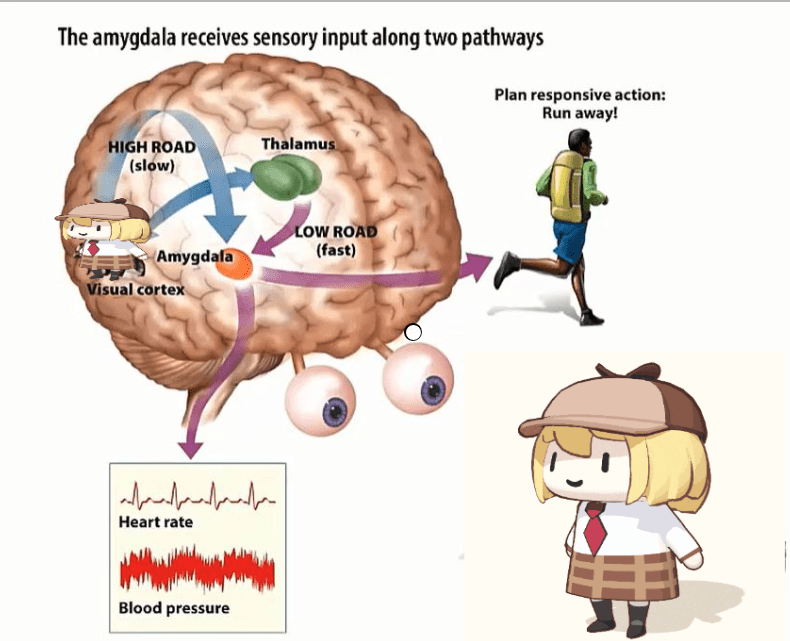 here's some lesson in psychology for you r/Hololive