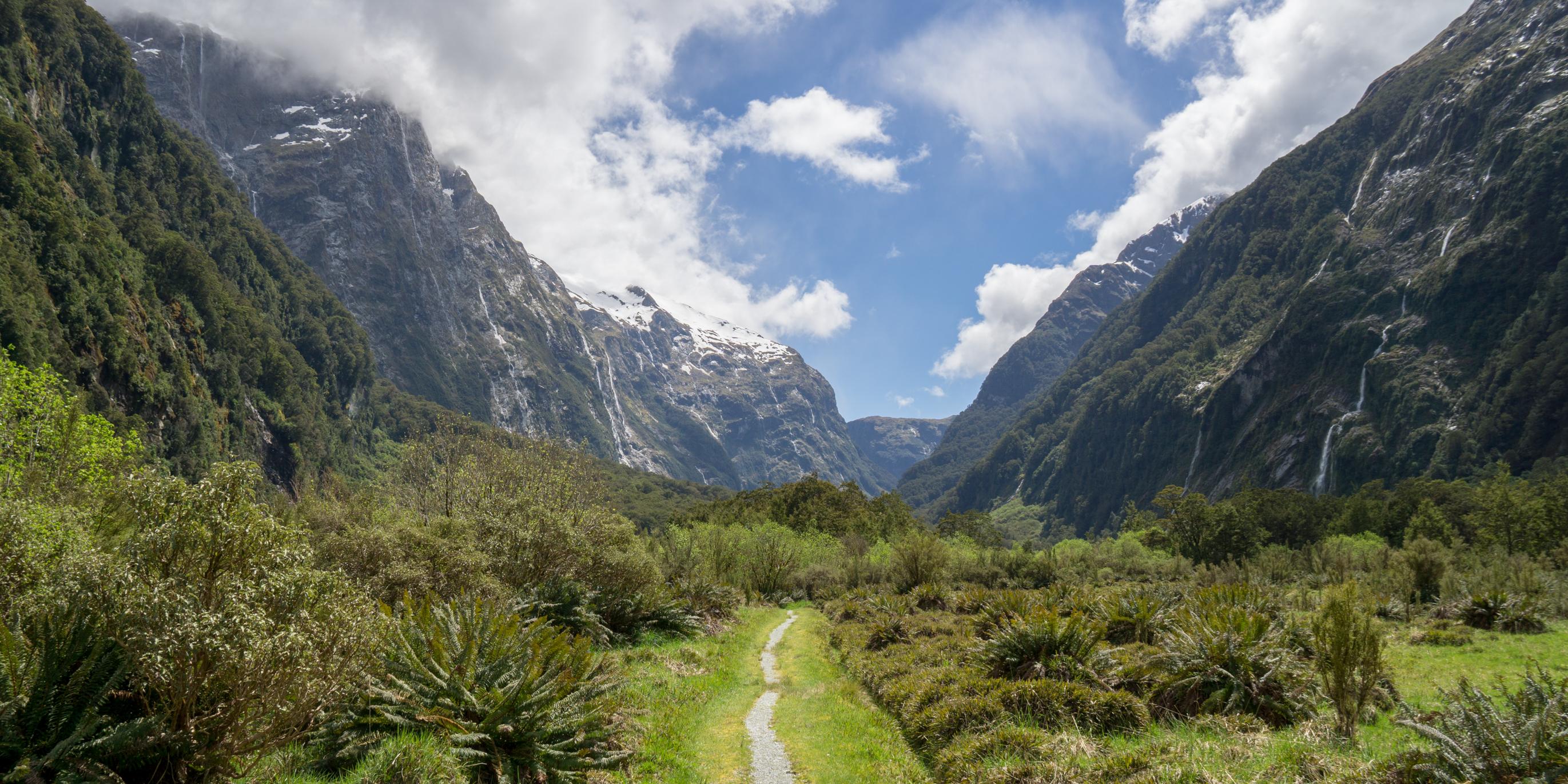 Mackinnon Pass in the distance on Milford Track, Fiordland, New Zealand