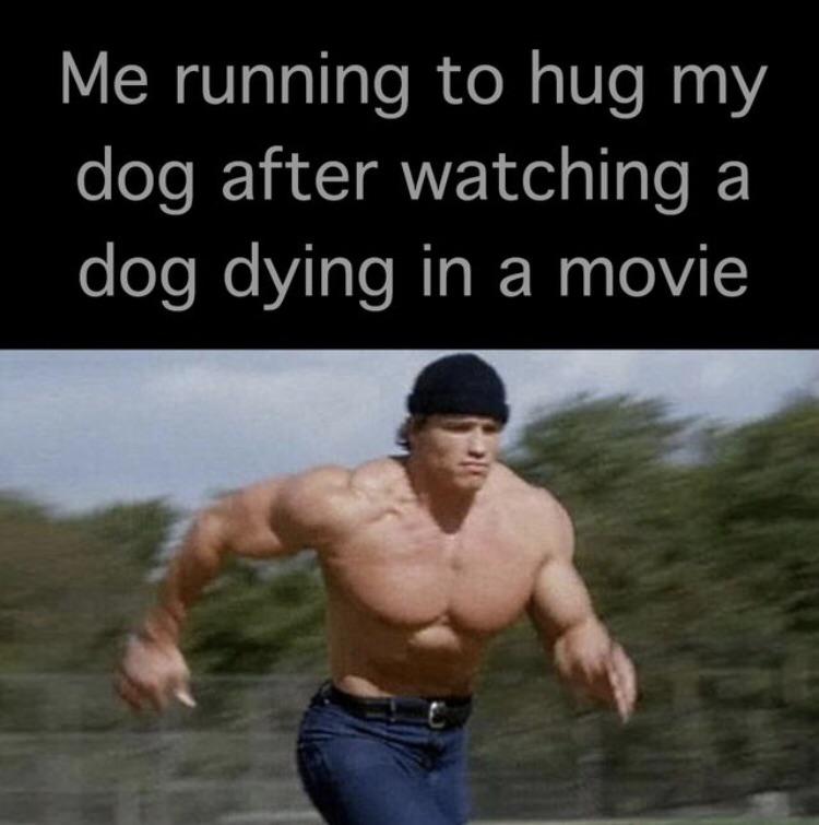 Dog deaths are always sadder then human deaths in movies memes