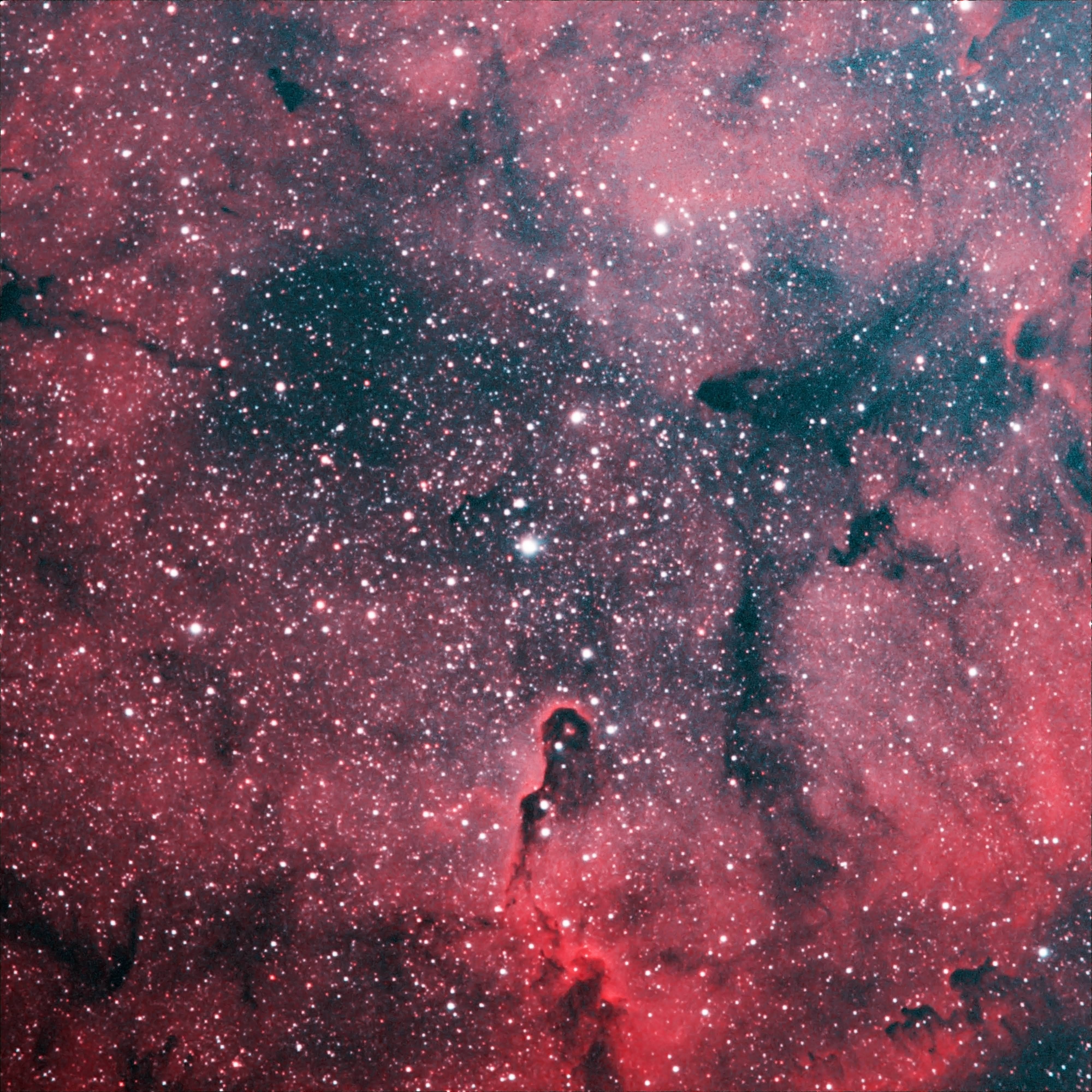 The Elephant's Trunk Nebula in dual band r/Astronomy