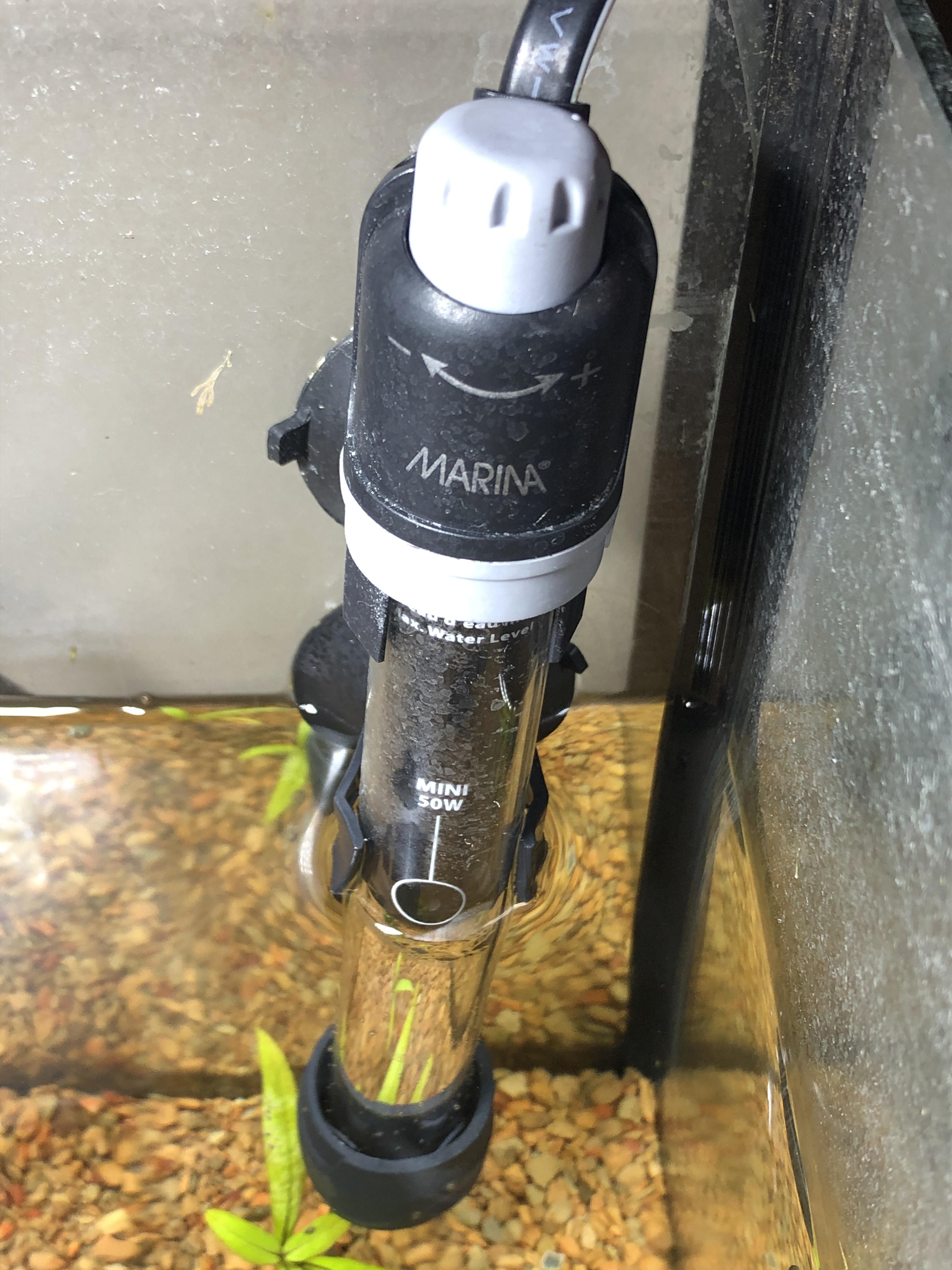 Marina heater not turning on. r/Aquariums