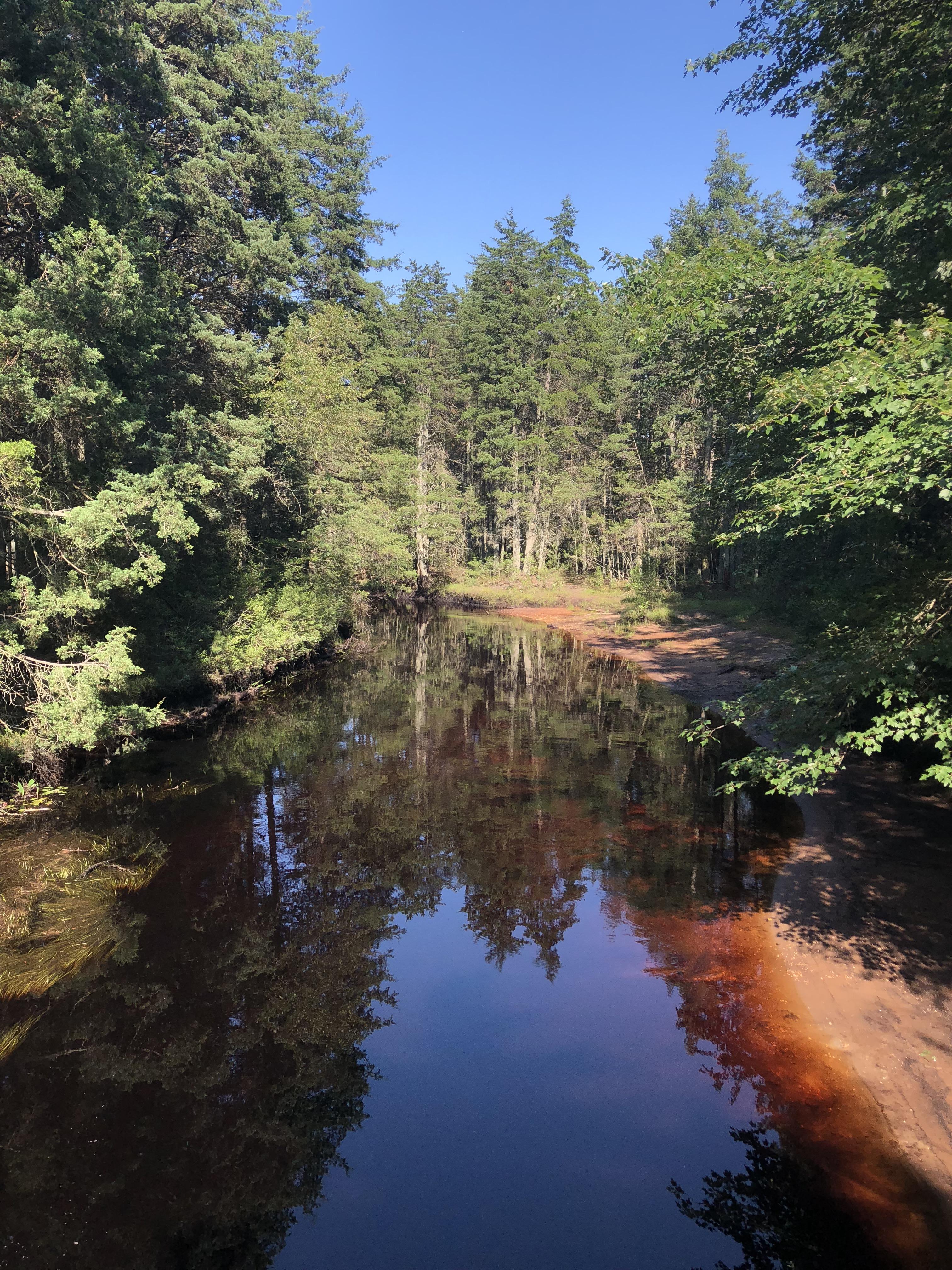Solo trip in the Pine Barrens, NJ r/camping