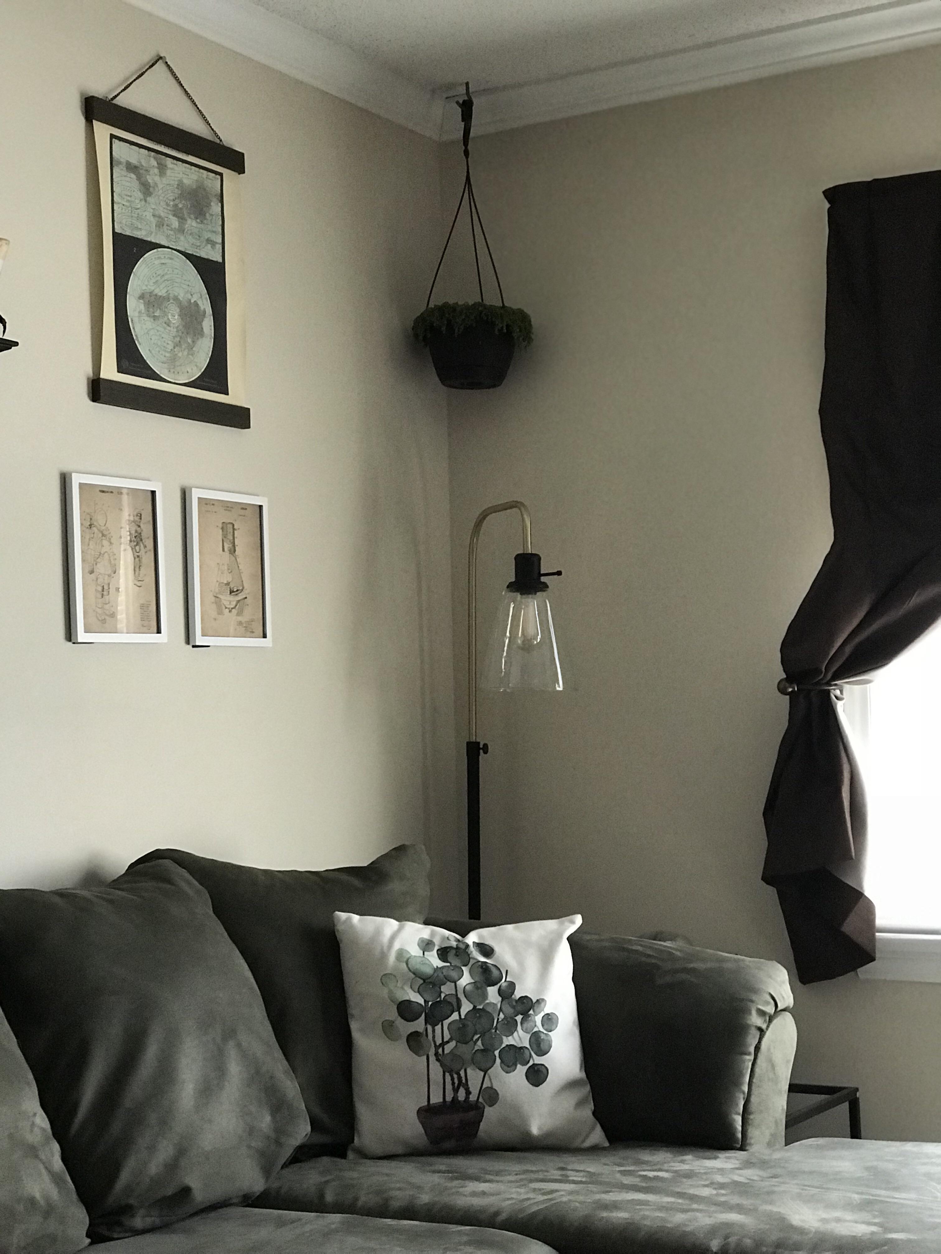 Insanely proud of/happy with my new apartments living room! r/CozyPlaces