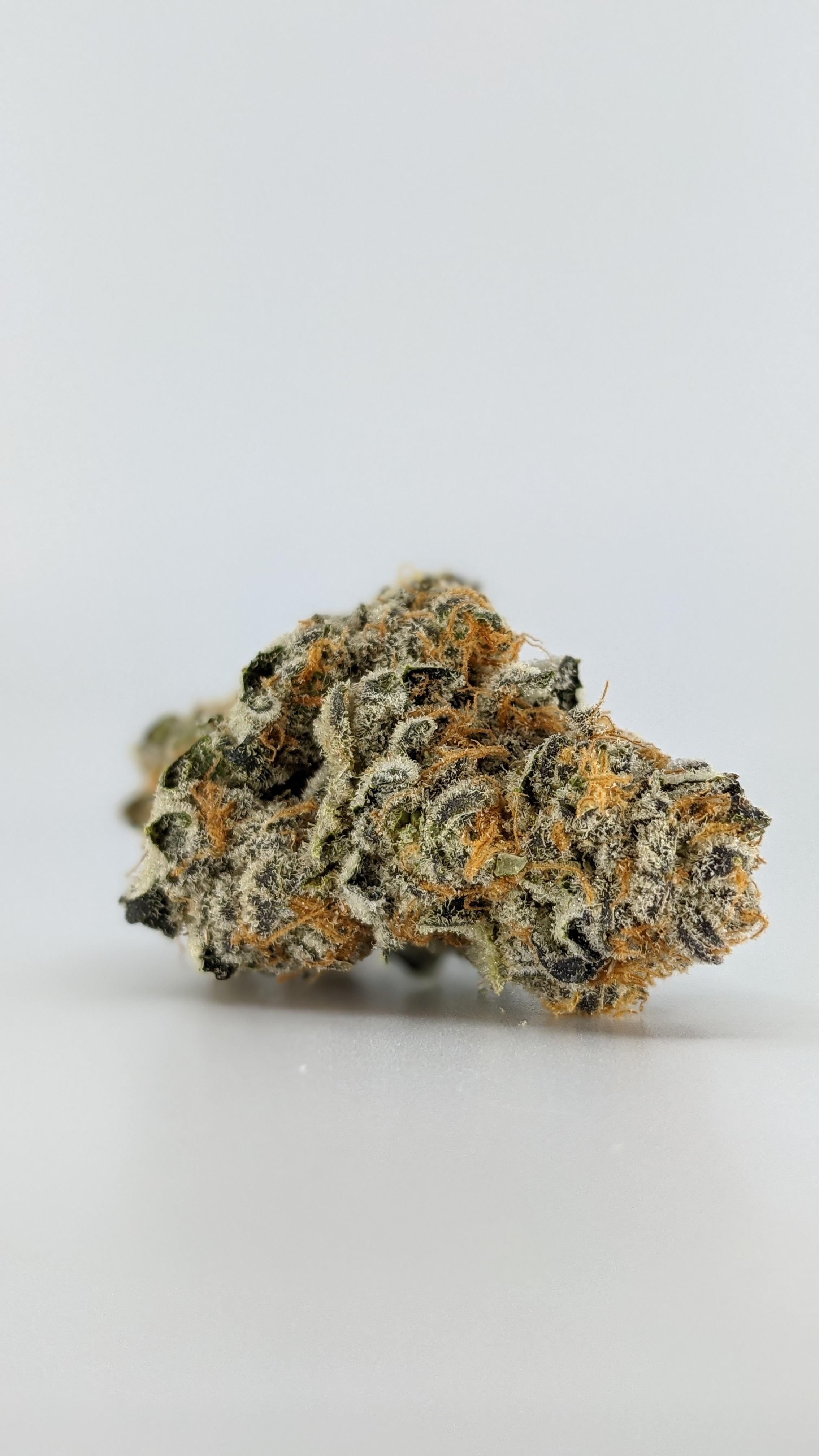 Orange Aid from Funk House Farms