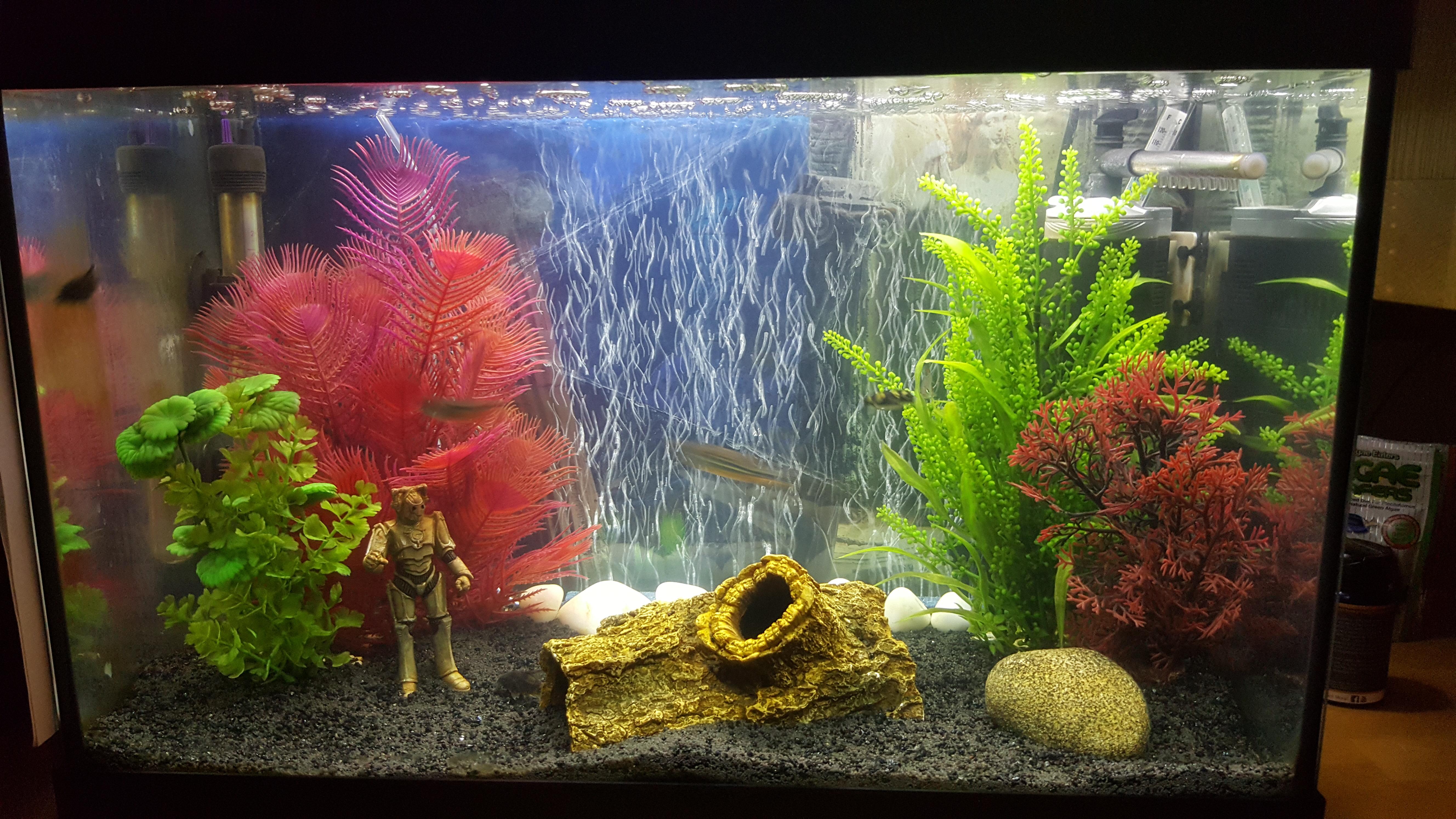 A couple of years into the hobby and I've now learnt from all mistakes