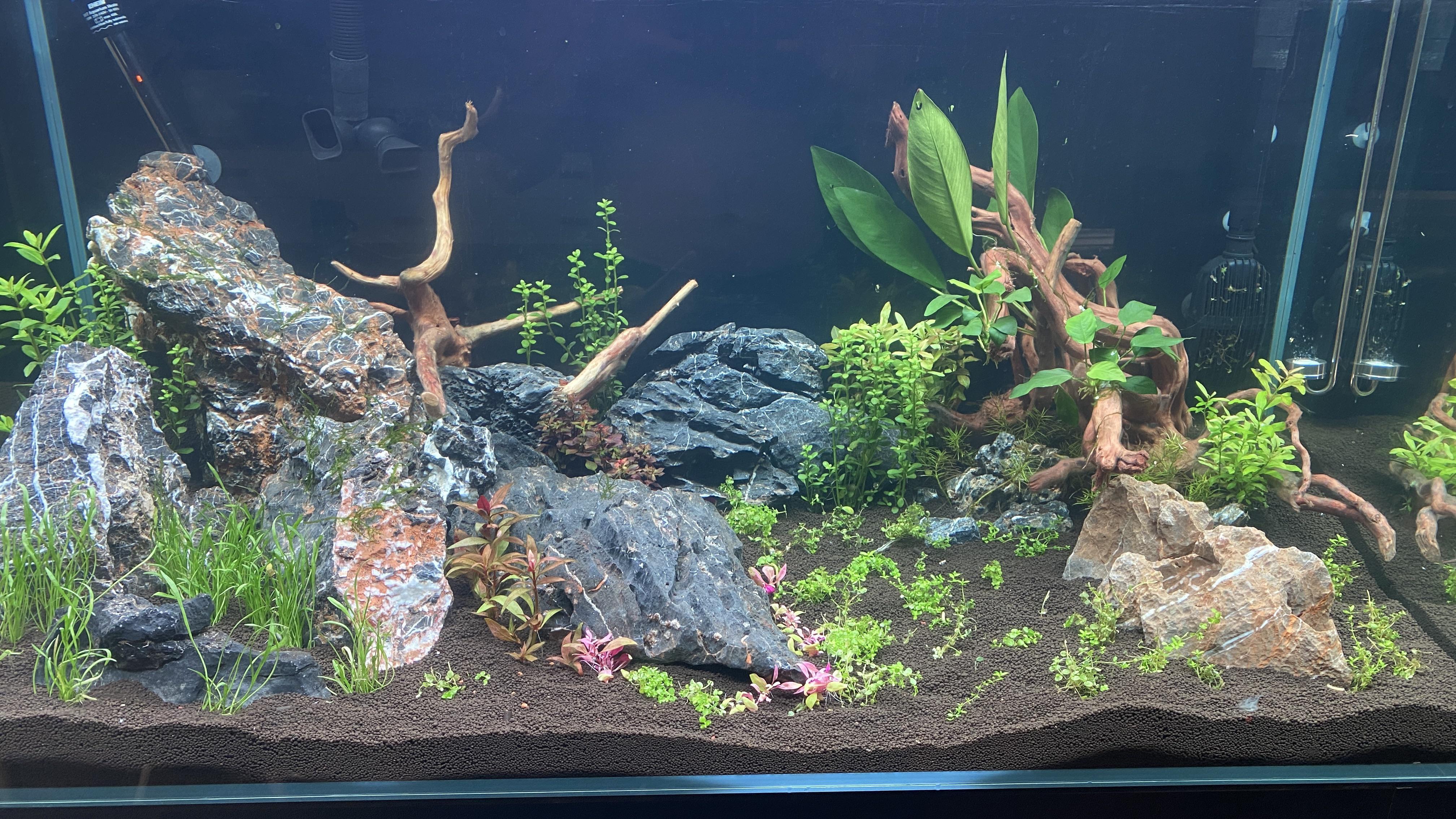 41 Hilarious Calcium Light Puns Punstoppable 🛑