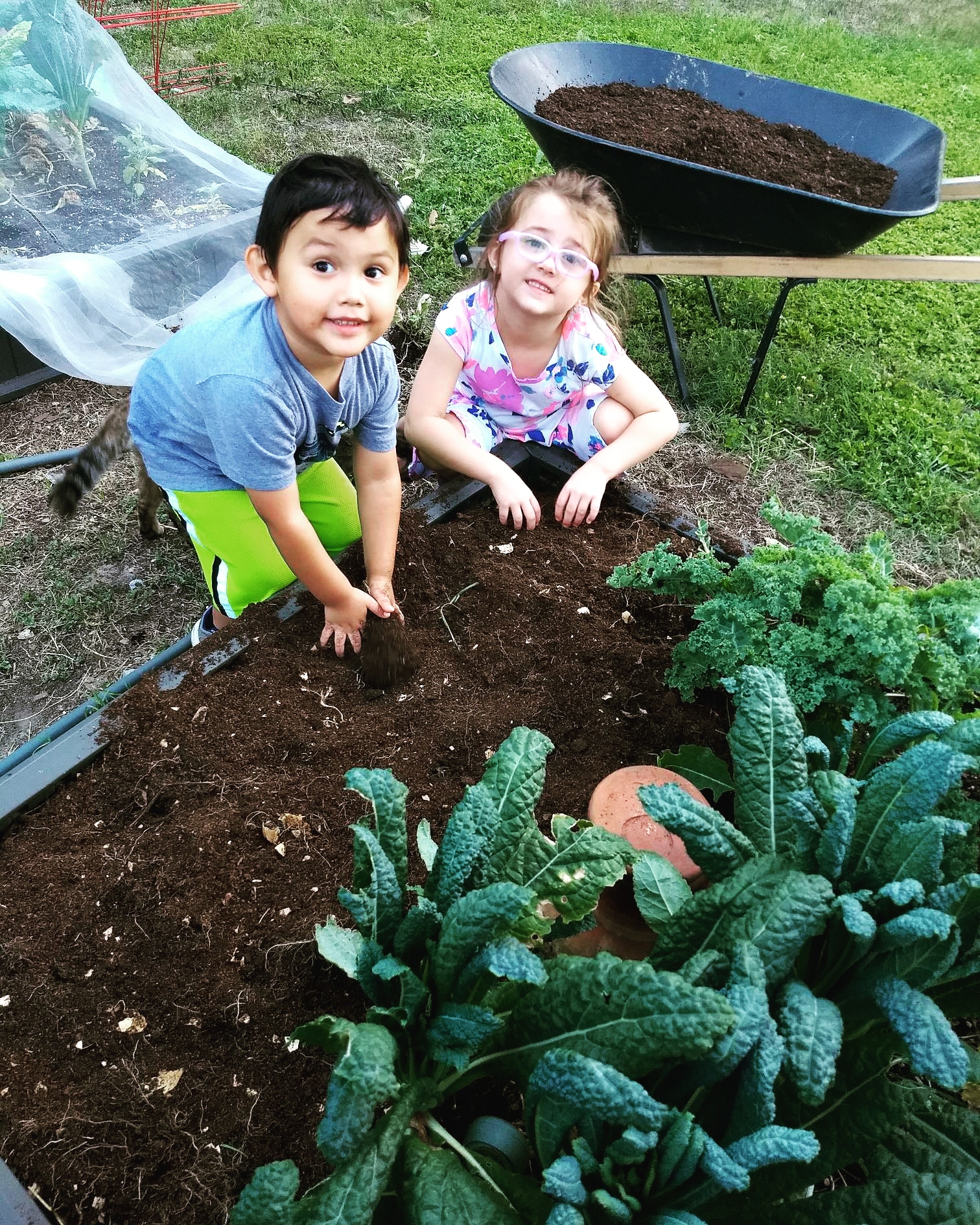 Cleaning up the garden. r/gardening