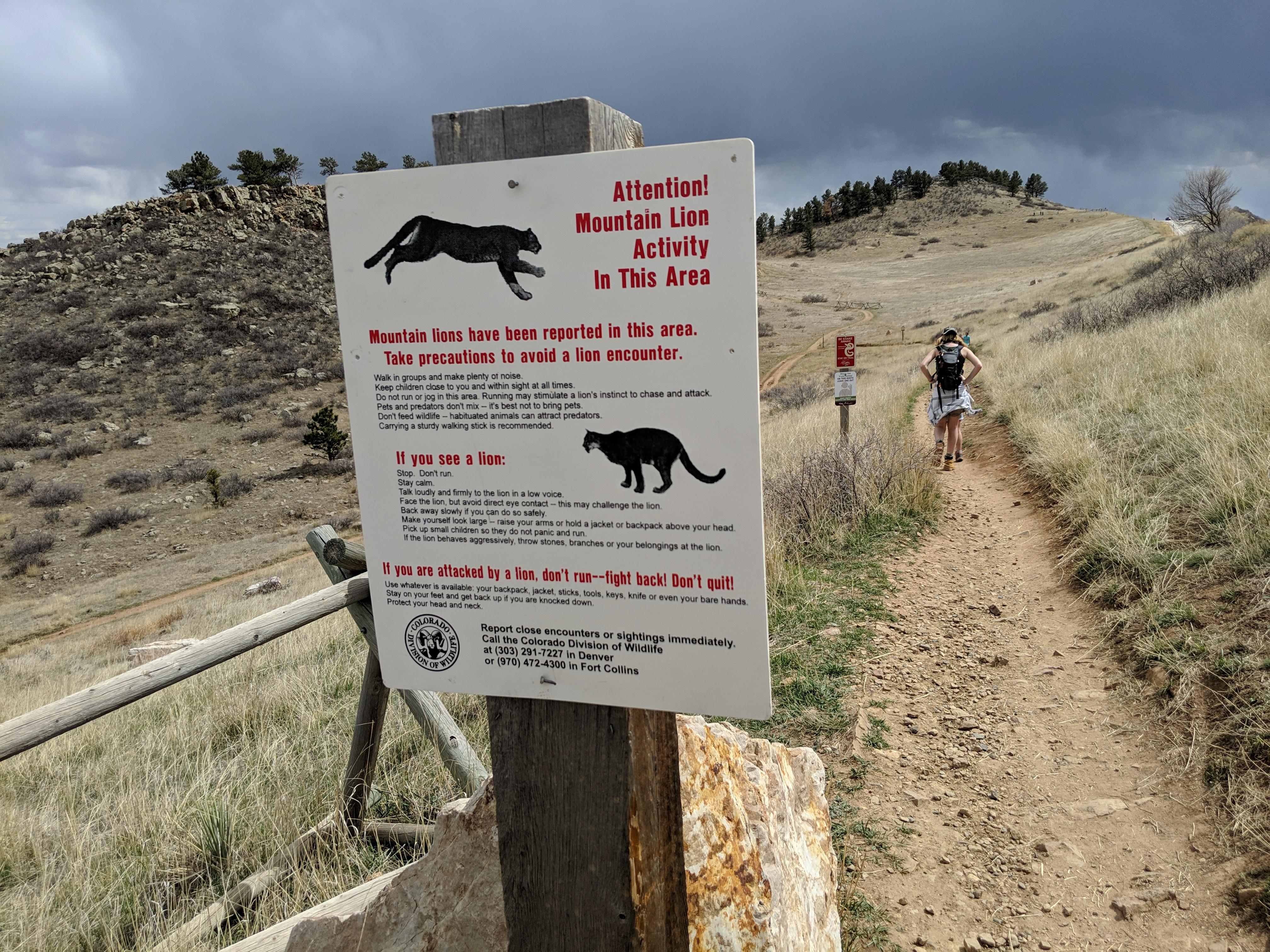 Let's go for a hike!?!! Mountain lion warning followed by rattle snake