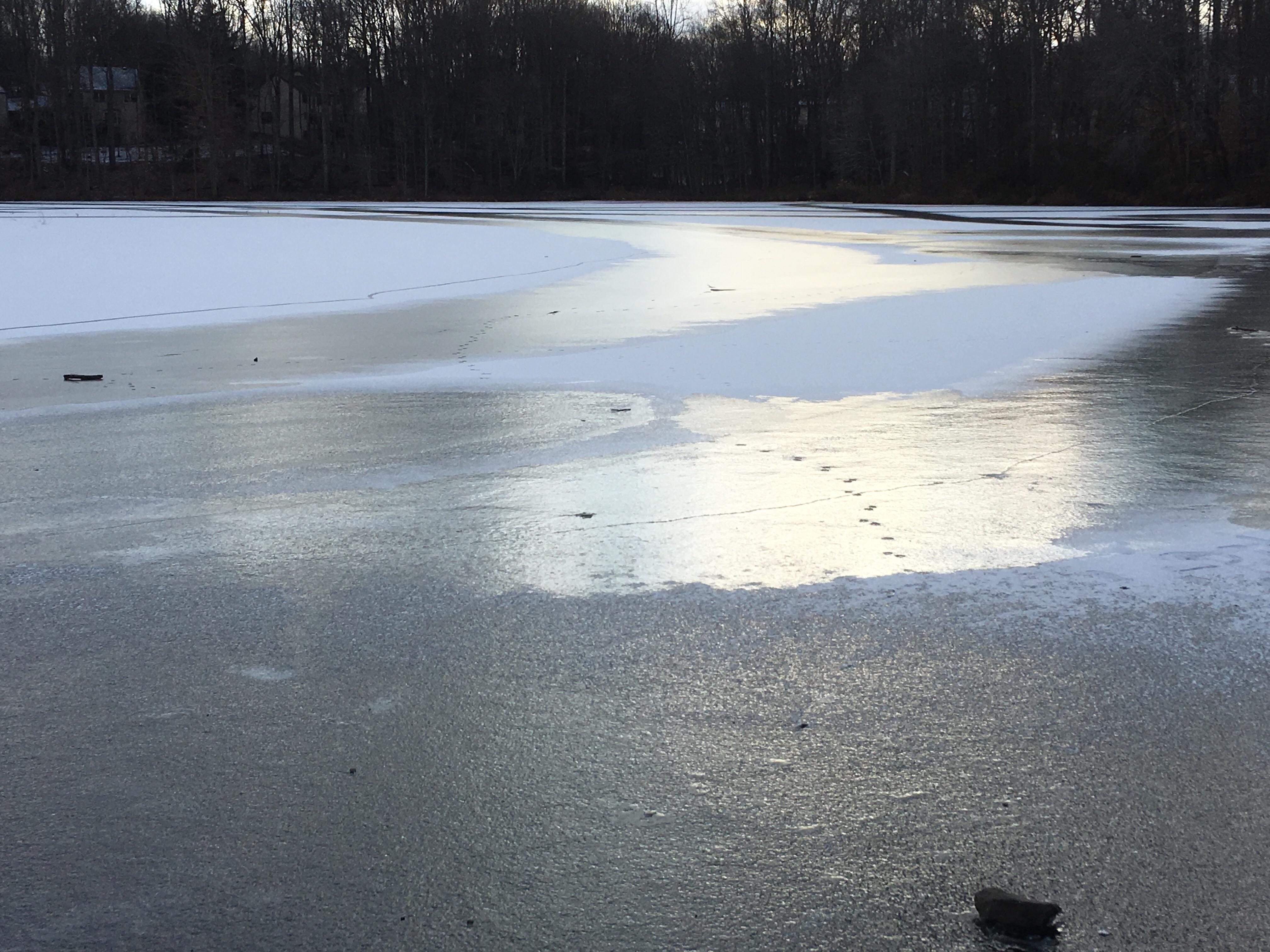 Huntsman Lake in Springfield. I heaved a 30lb rock onto the ice. It