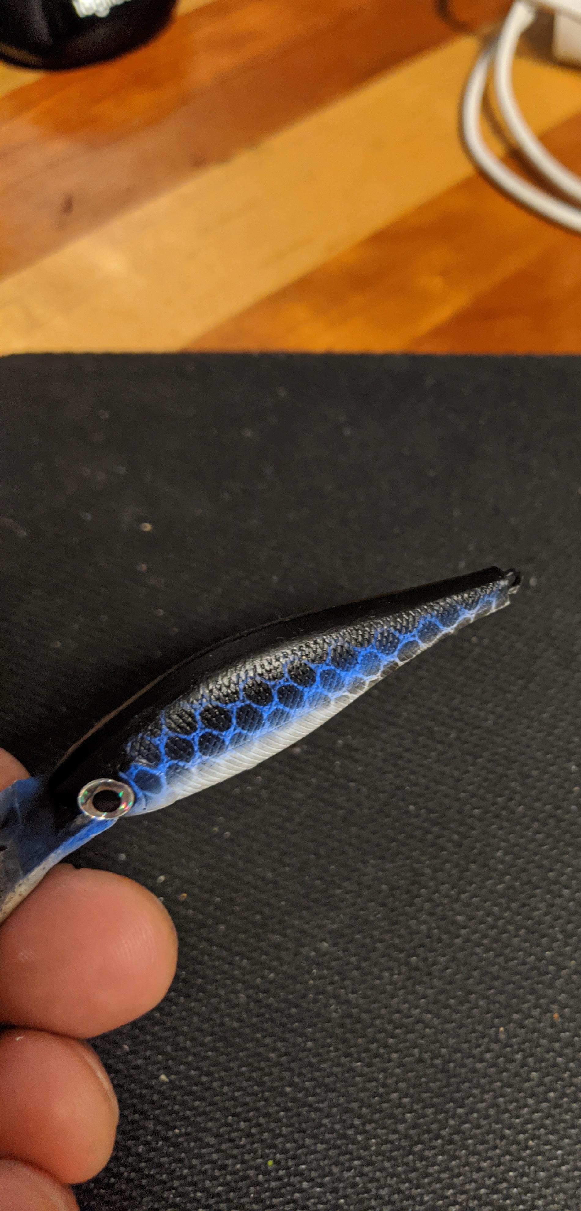 First painted lure ever. Messed up a little on the back when painting