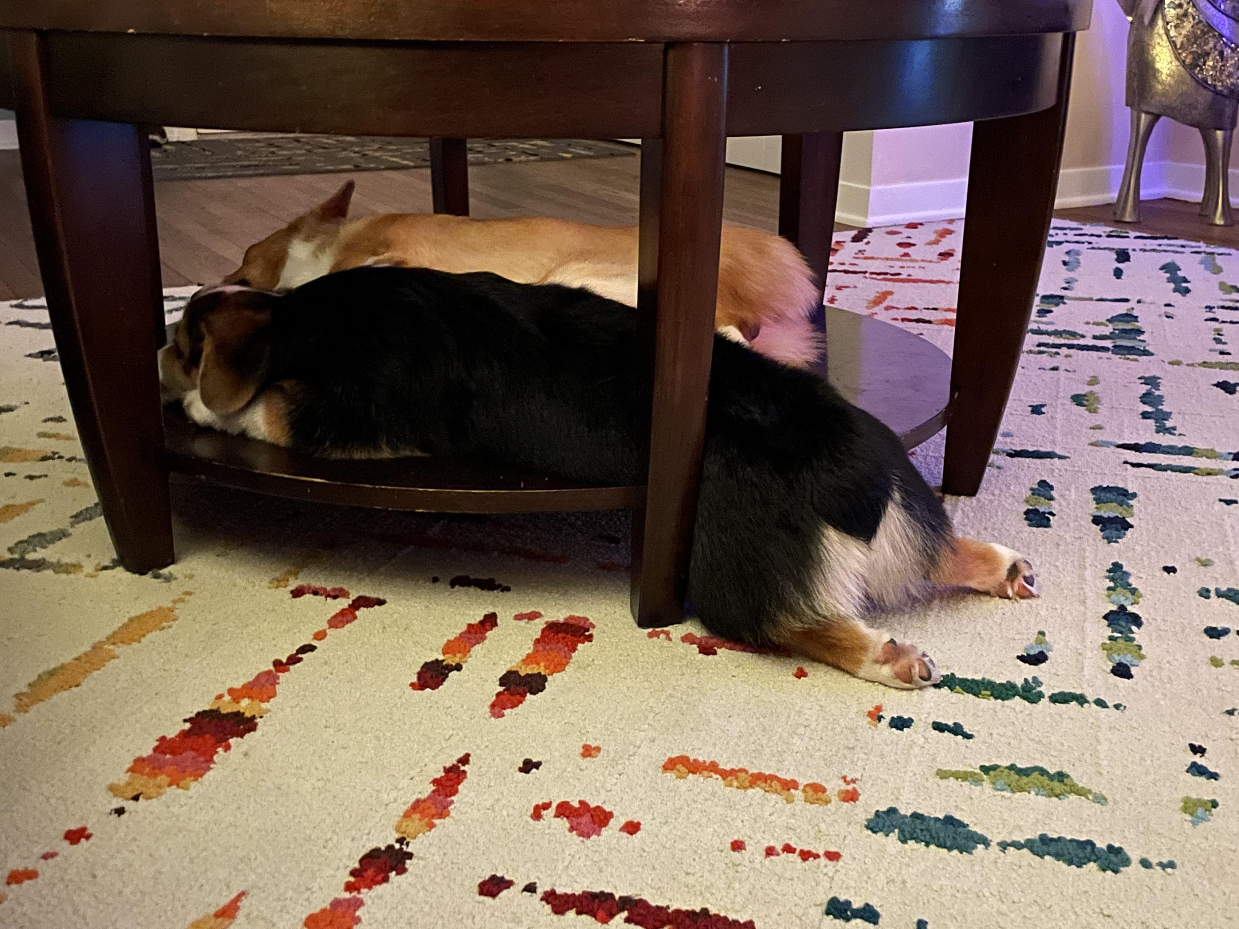 So hot in Texas today, I melted!