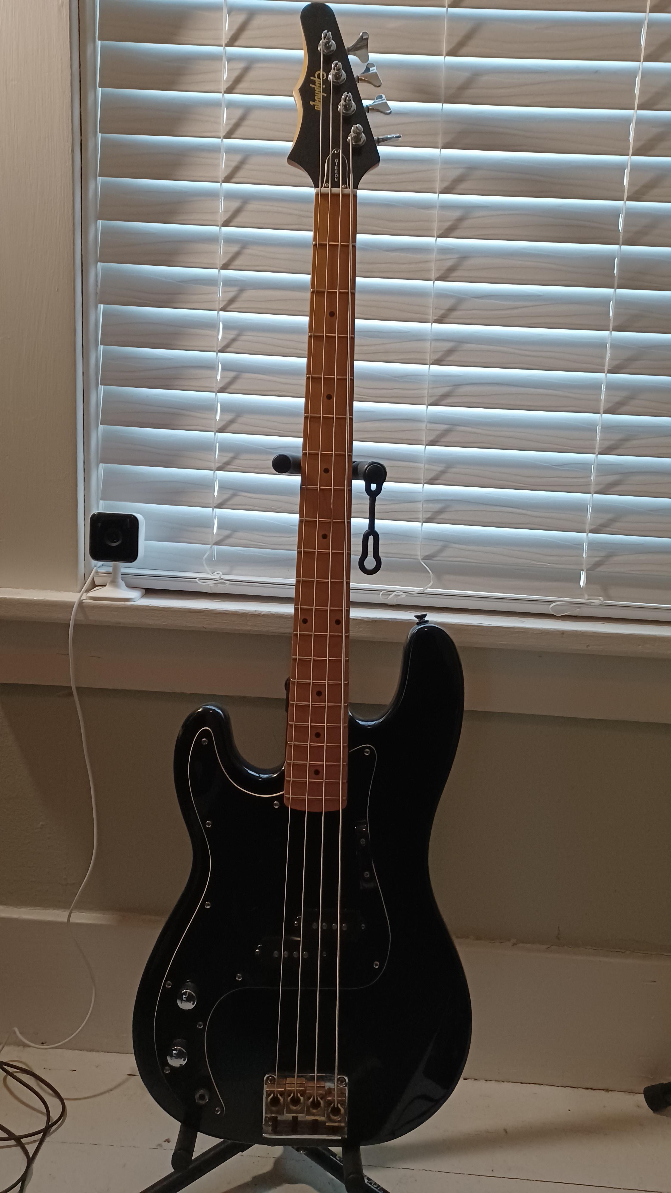 Update my Epiphone Accu Bass BassGuitar