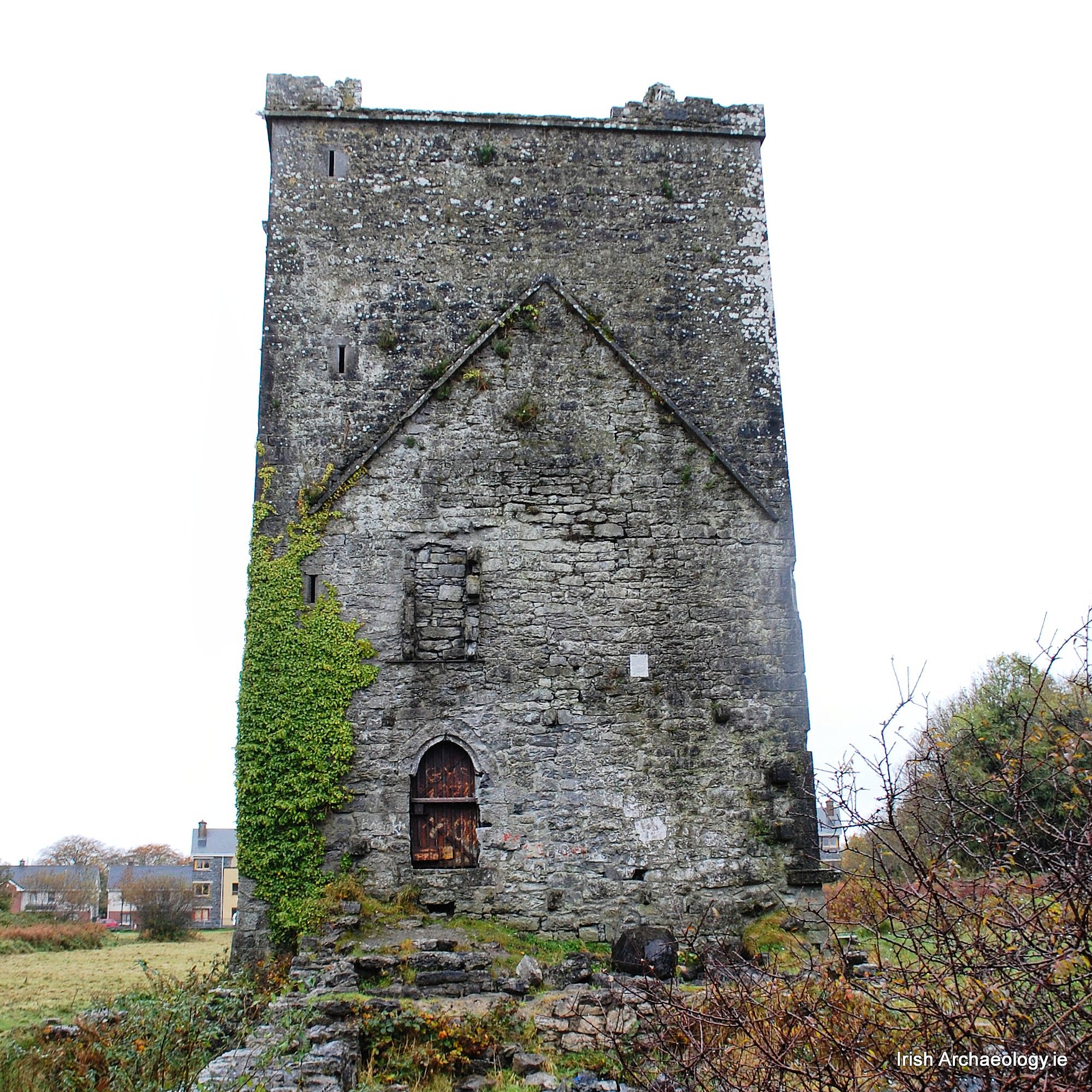 This 16th century towerhouse at Merlin Park, Co Galway once belonged to