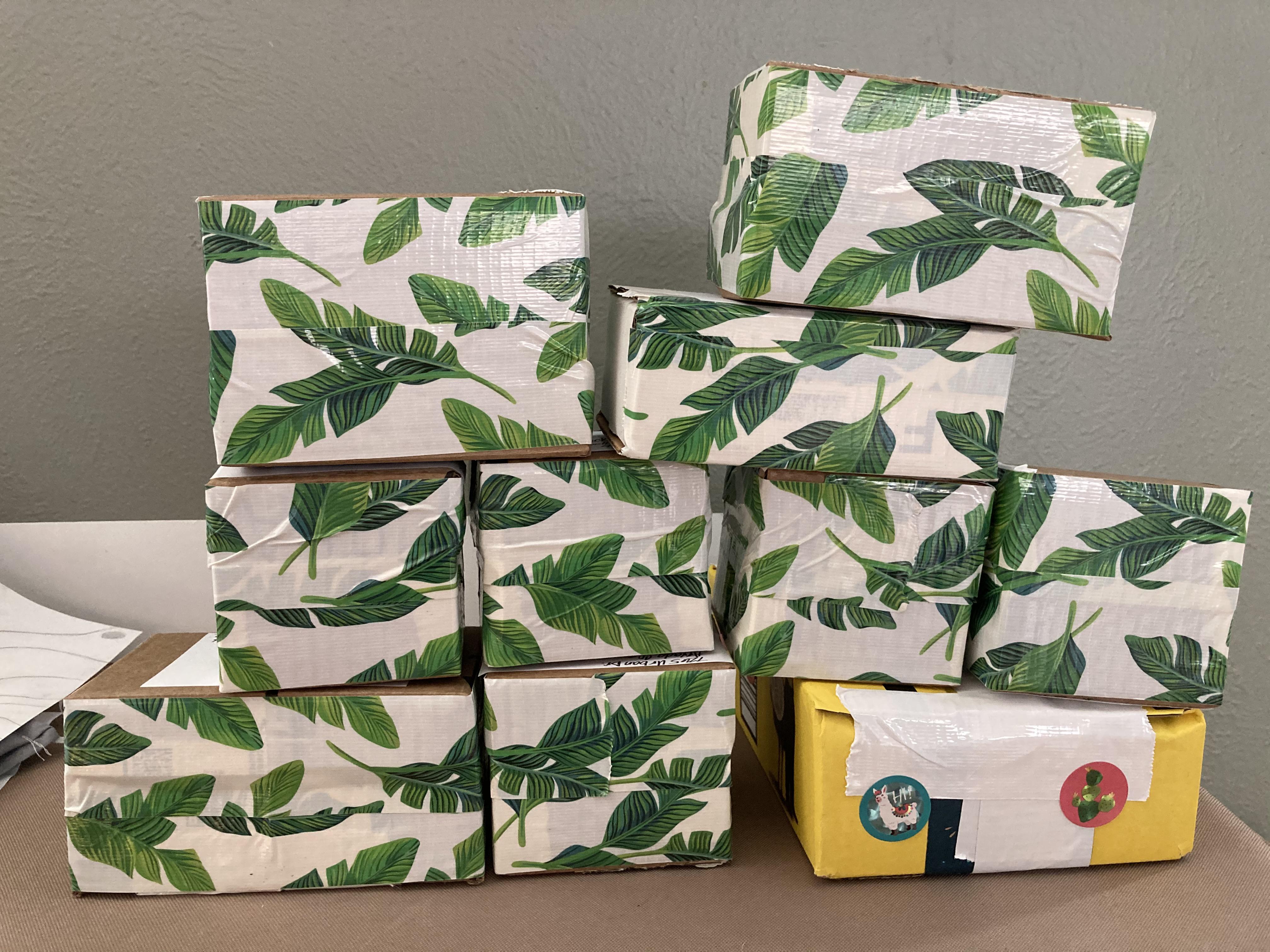 763 best Plant Mail images on Pholder Succulents, Haworthia and Cactus