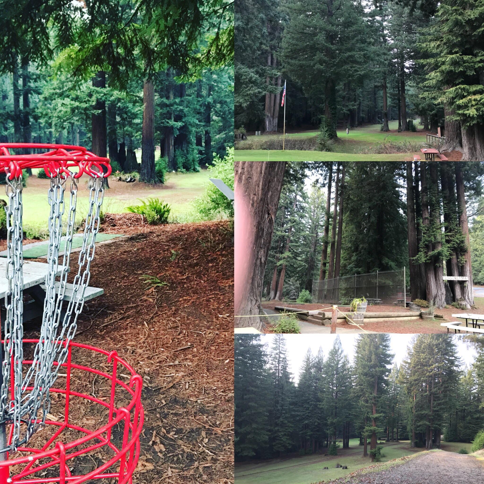 Brooktrails DGC, Willits, CA. Love and Light 🙏 ️🙏 ️🙏 r/discgolf
