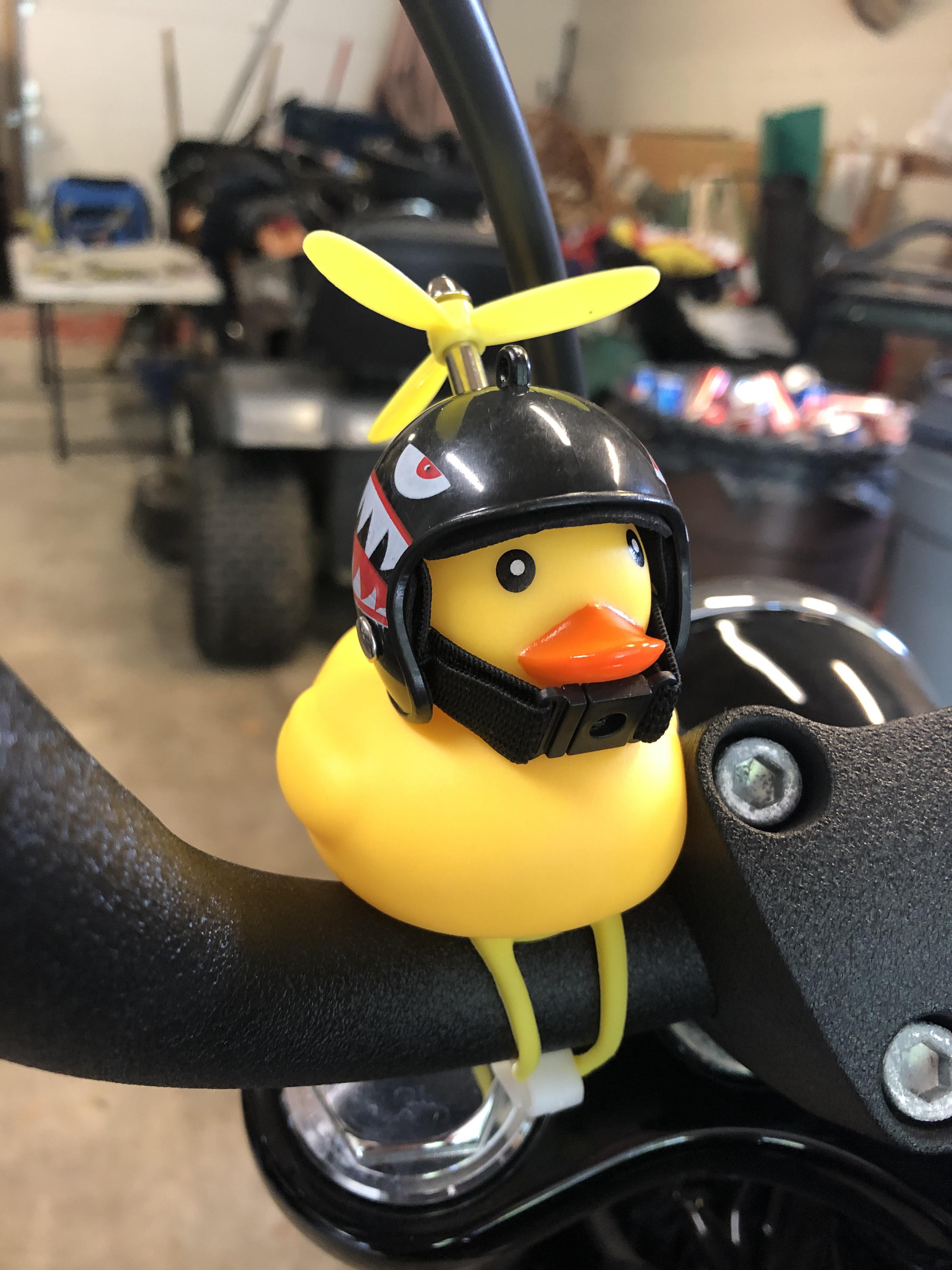 375 best Riding Buddy images on Pholder Motorcycles, Dirtbikes and