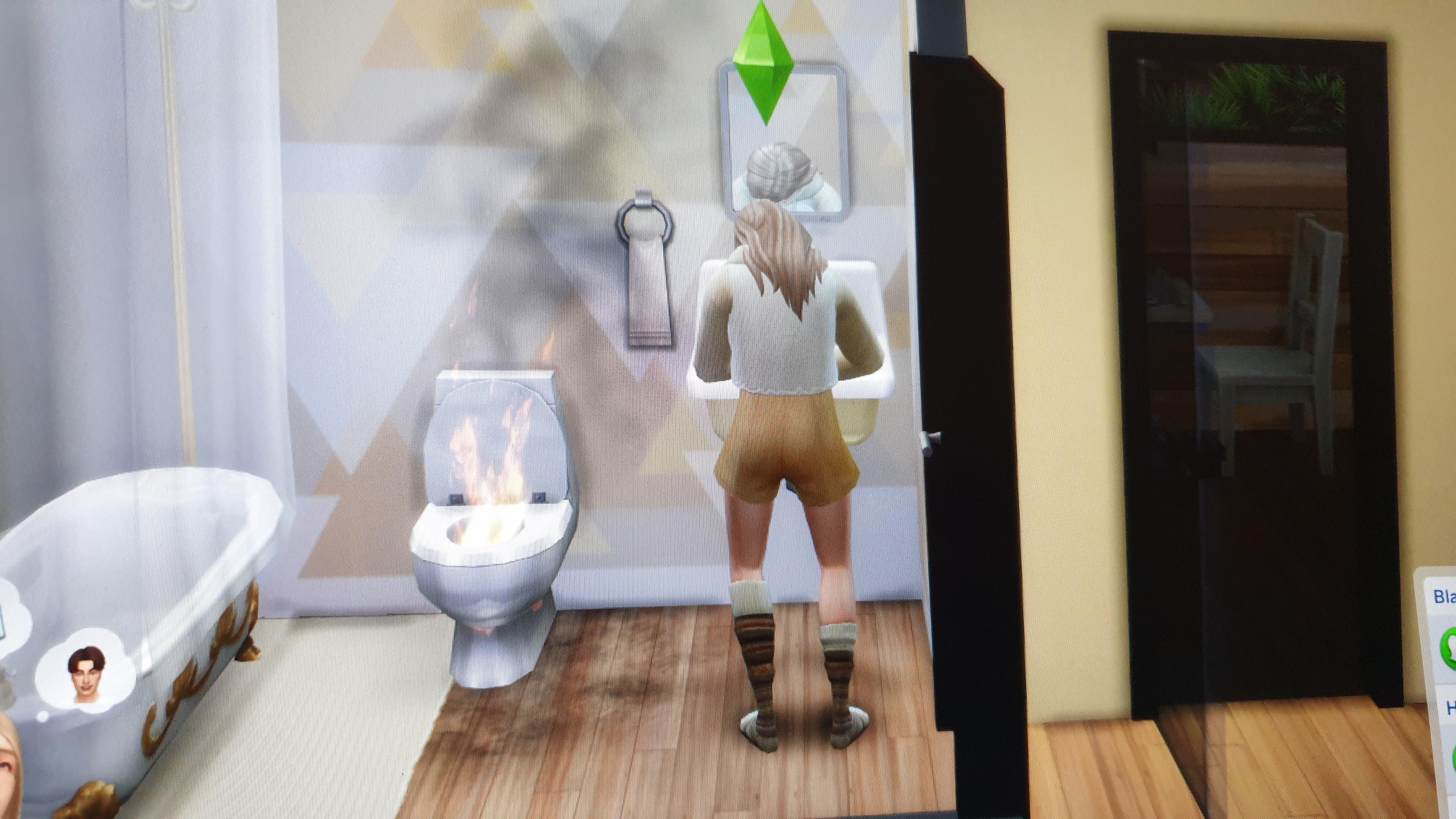 Since when can toilets catch on fire??? r/Sims4