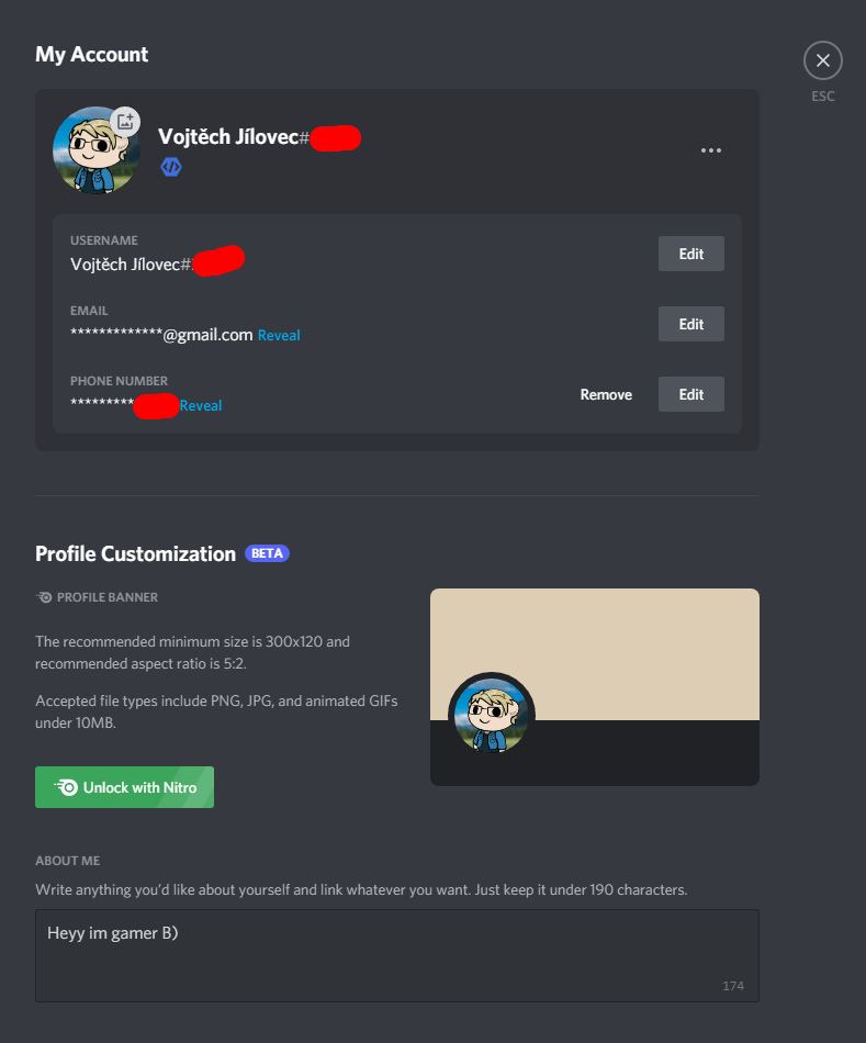Here's how the profile customization looks as of now (For those who