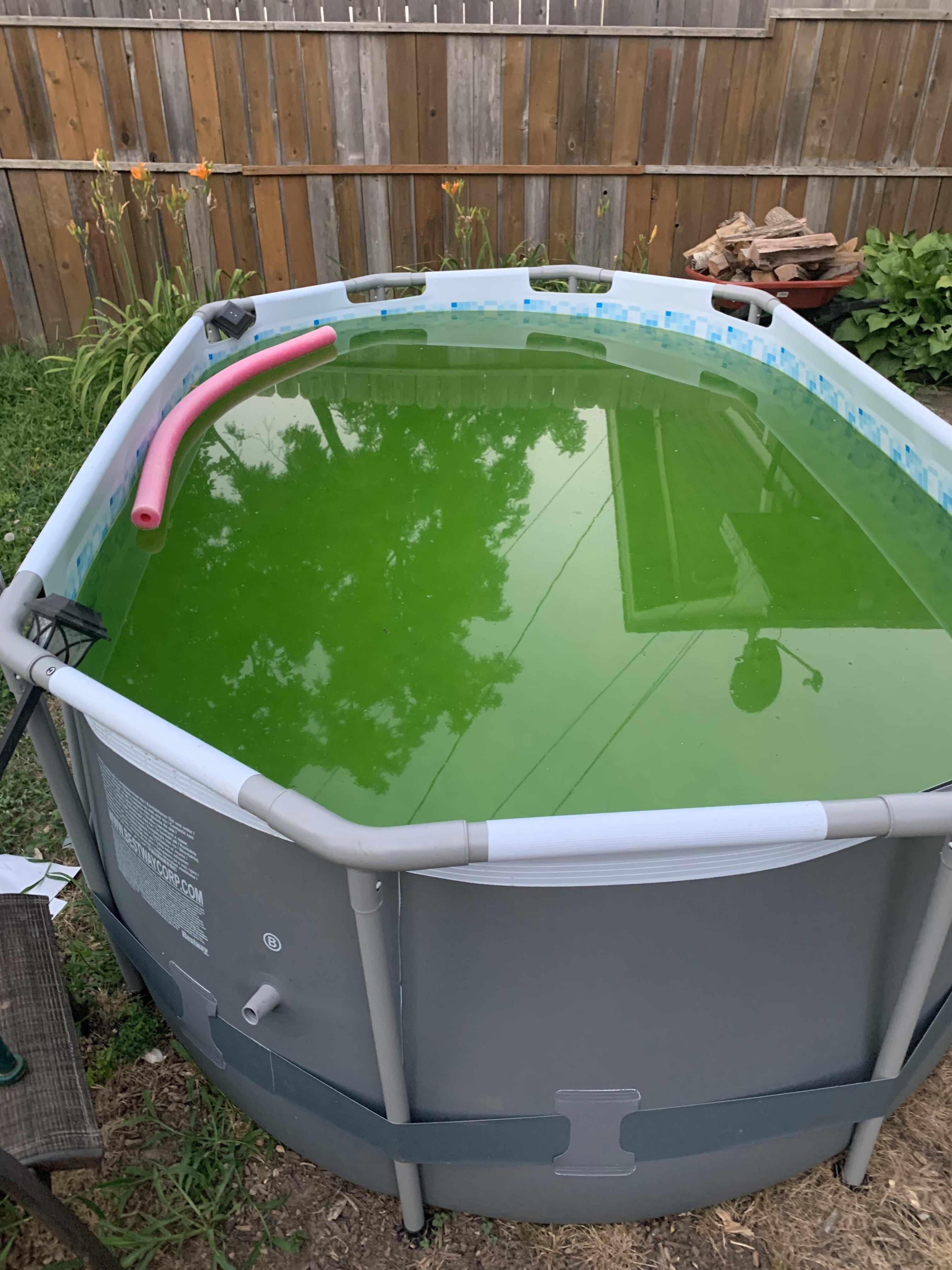 I’m a novice, and my little pop up pool just turned green. Anyone who