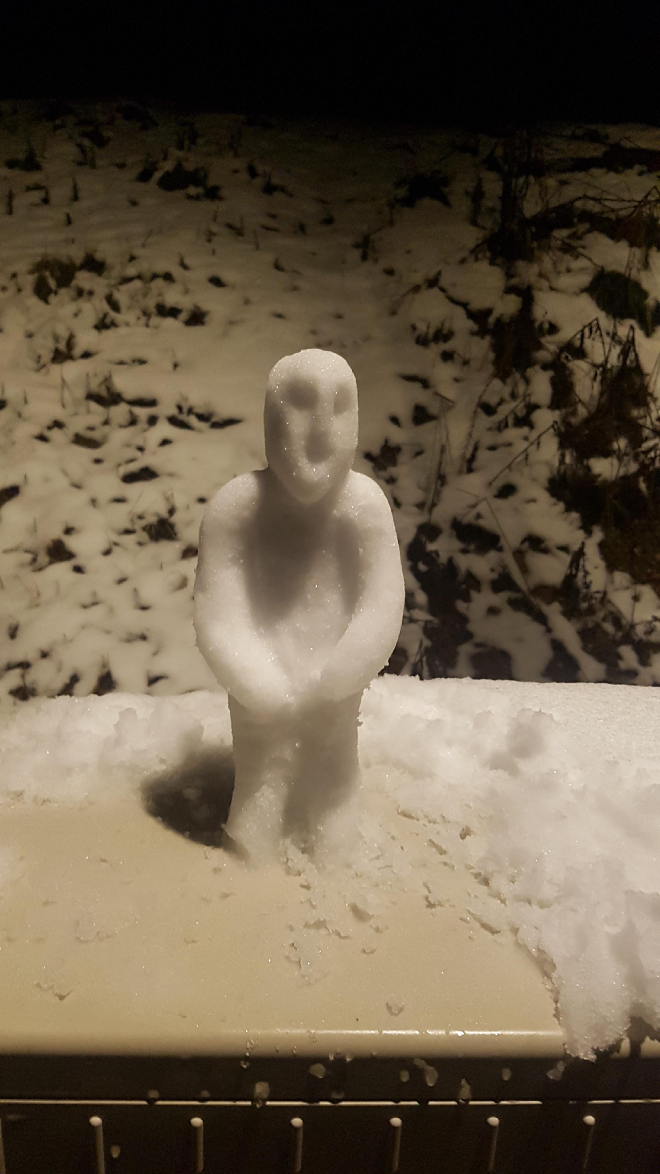 First snow sculpture I ever made r/Sculpture