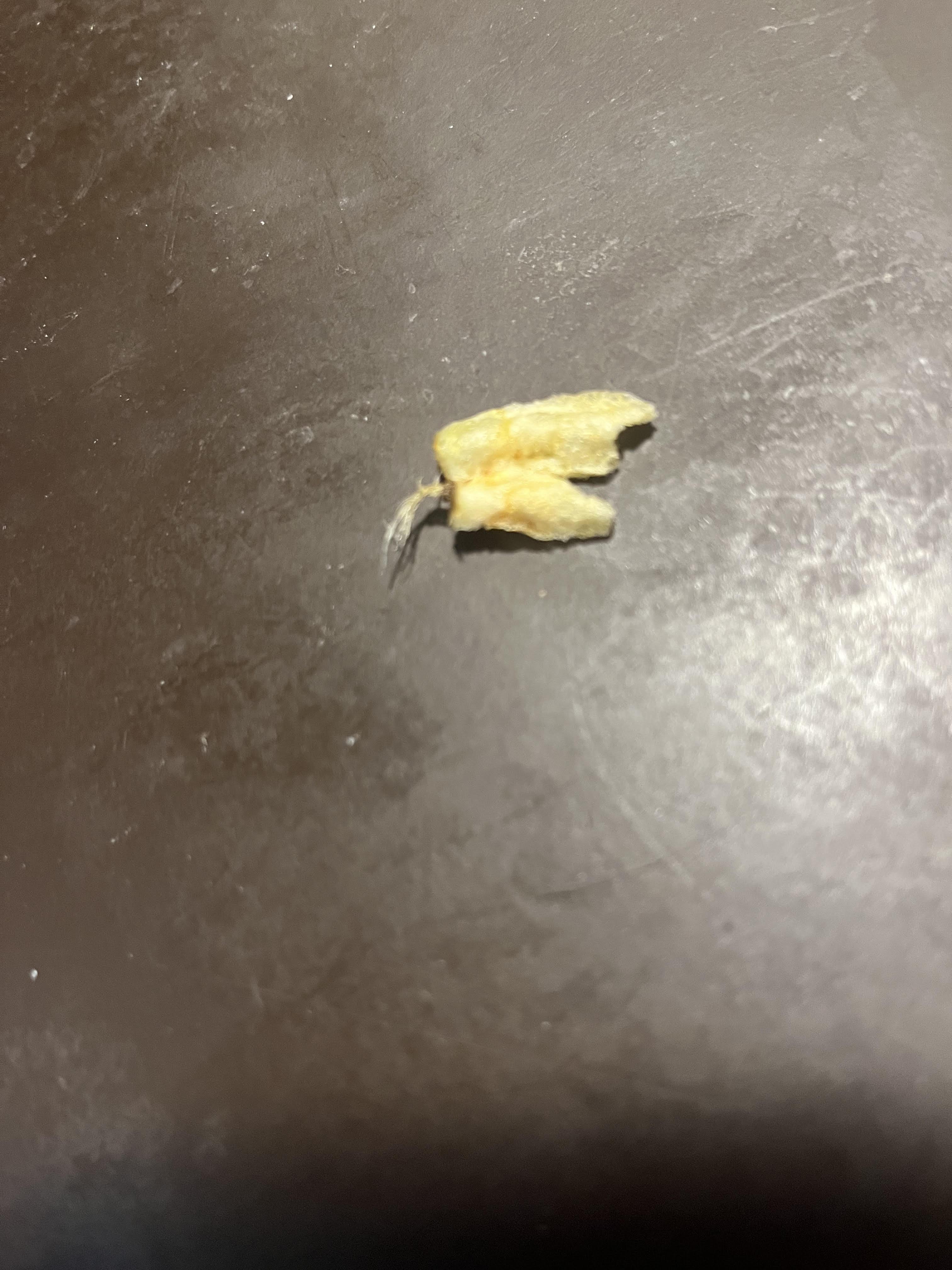 My Potato Chip is Growing Roots r/mildlyinteresting