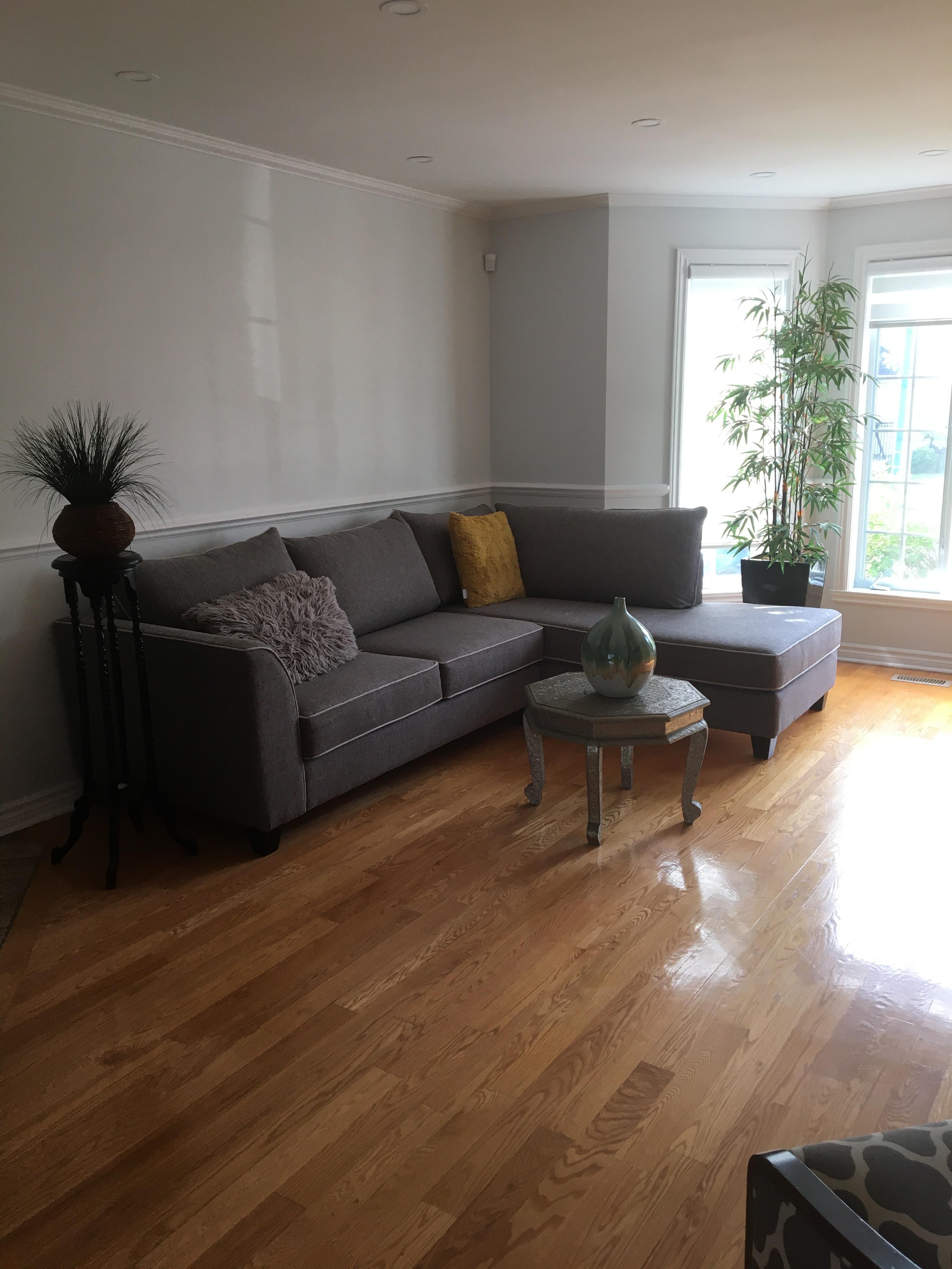 Help liven up a plain living room! Need rug, art and accent furniture