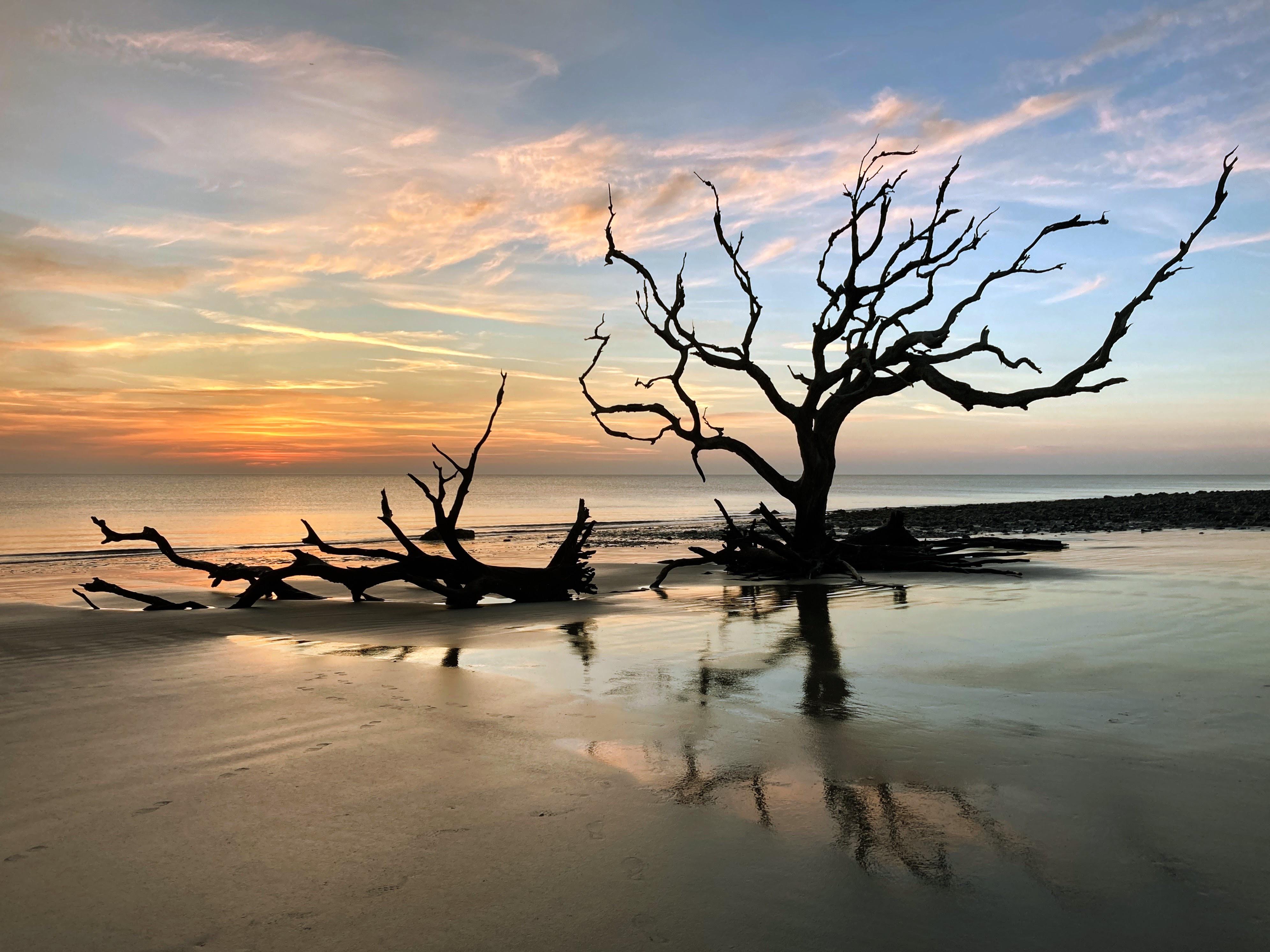 Driftwood Beach, Jekyll Island, GA [OC] [3984 x 2987] r/EarthPorn