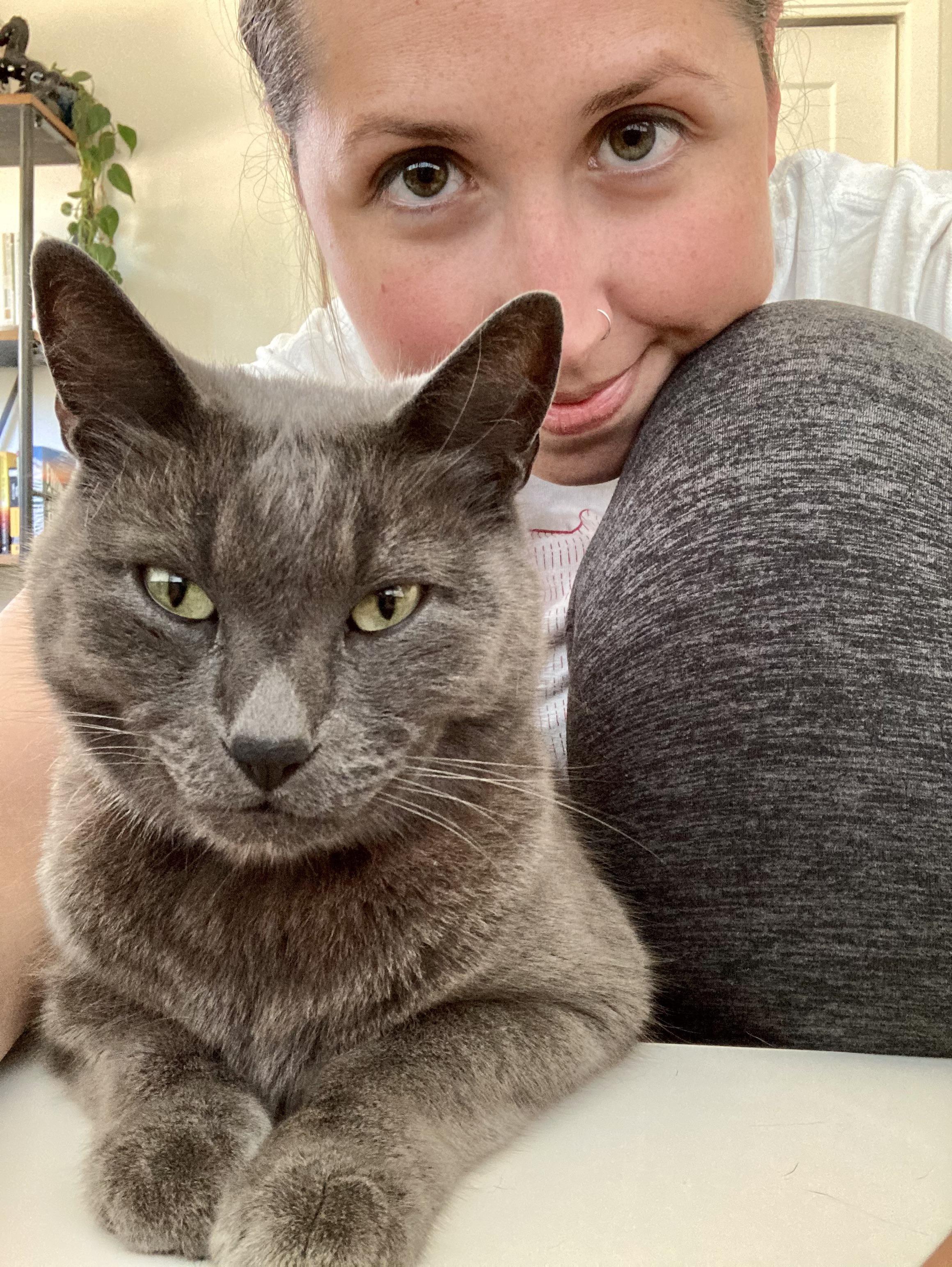 My cat’s cheekbones are 🔥 r/aww