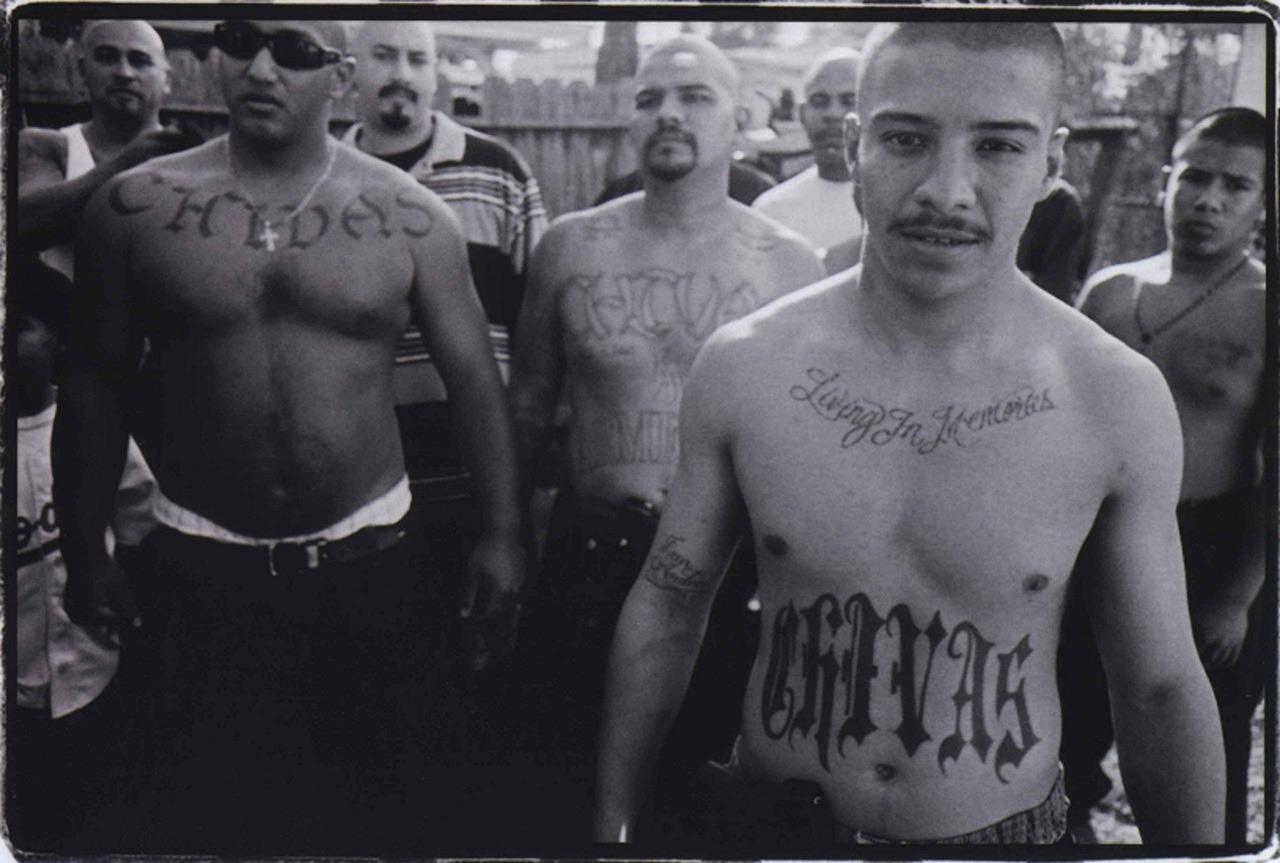 Chivas 13 artesia, california r/CaliBanging