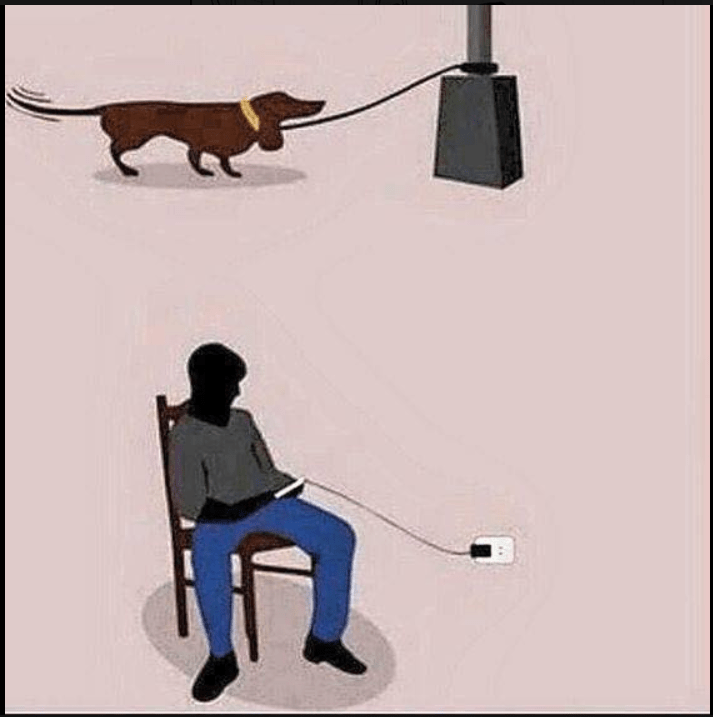 If you use your phone while it's charging you might as well be a dog on