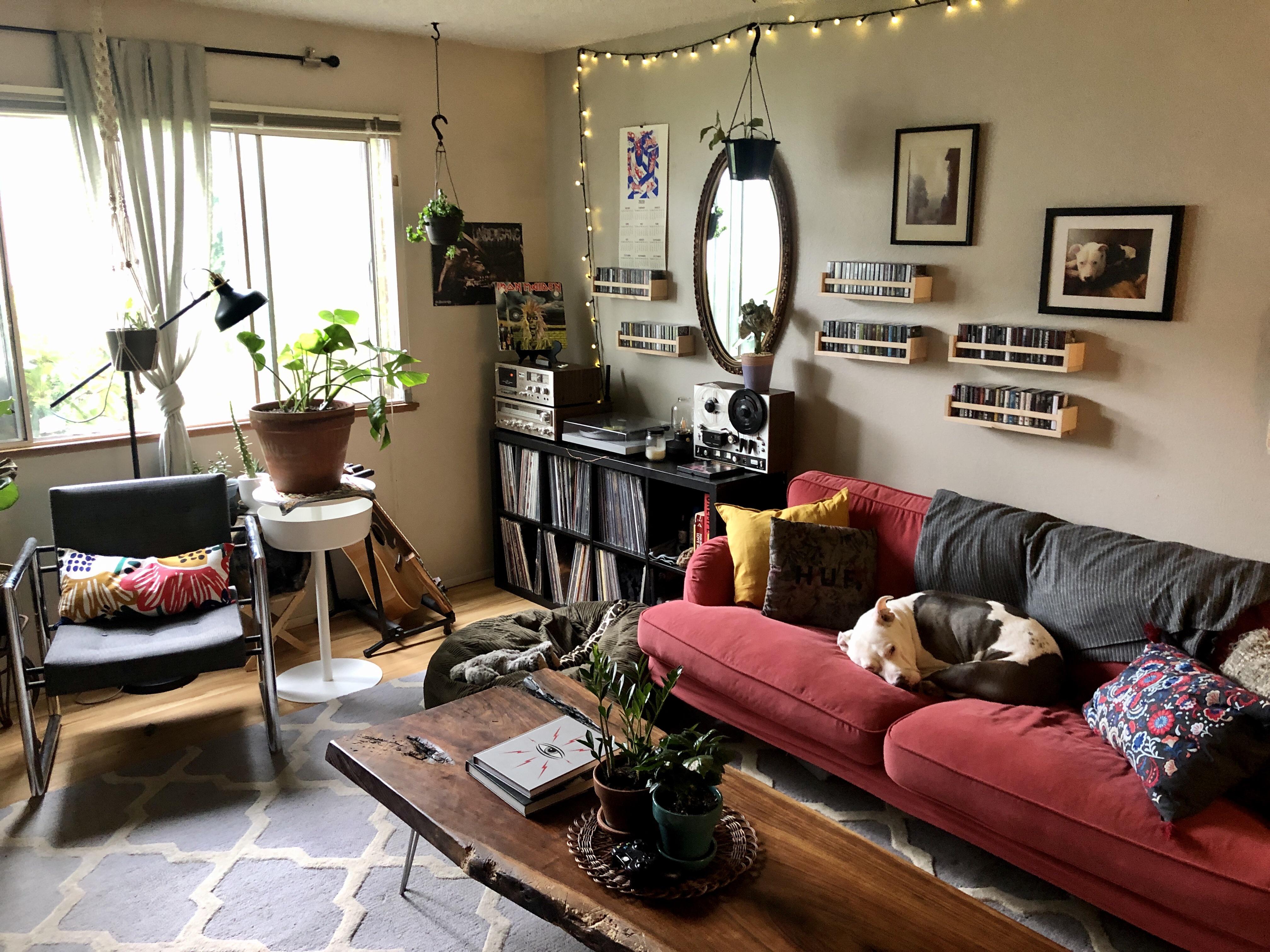 My living room was furnished from thrift stores, free piles, and IKEA