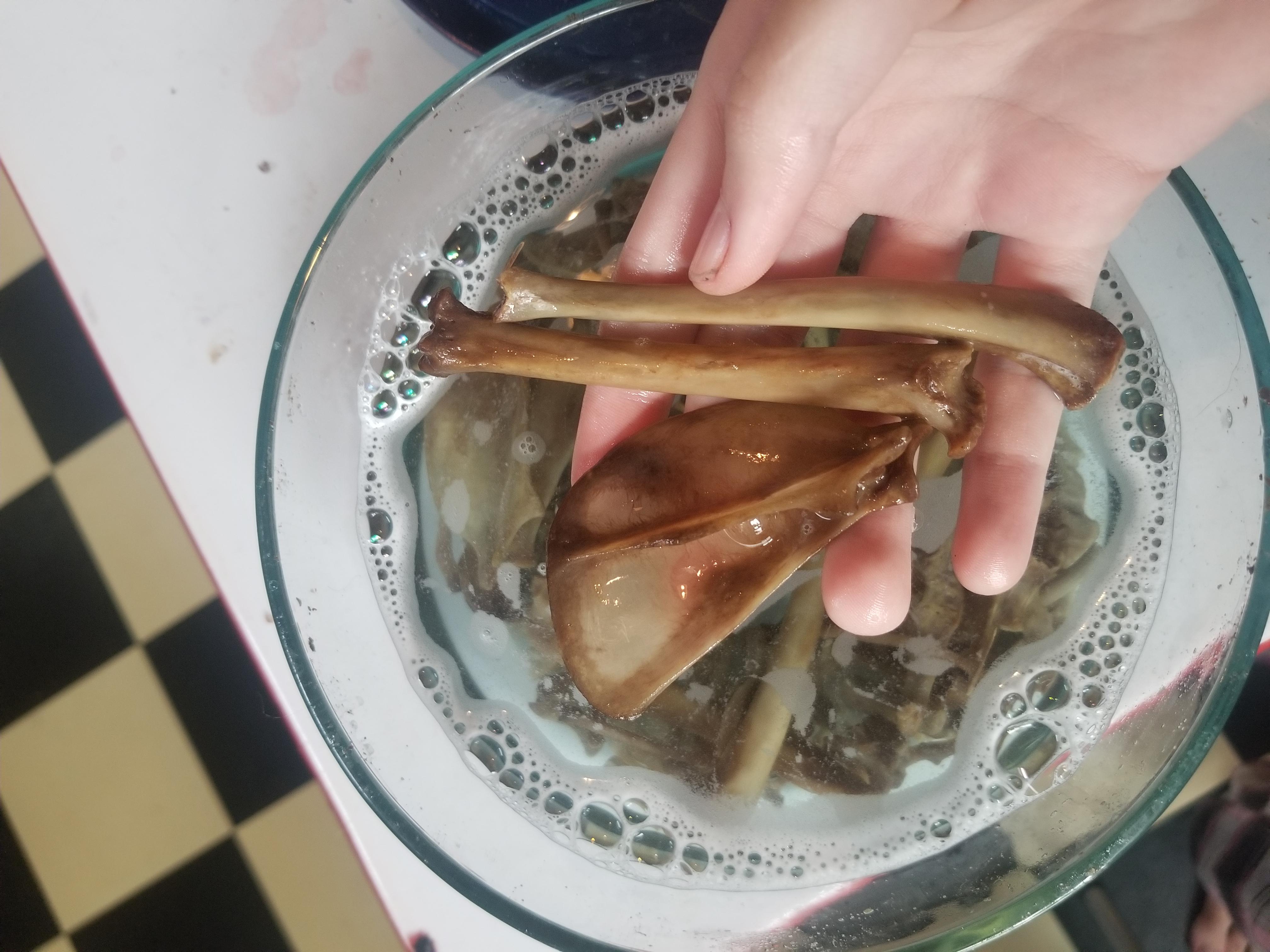 Is the staining on this cat just grease, or something else? I let it