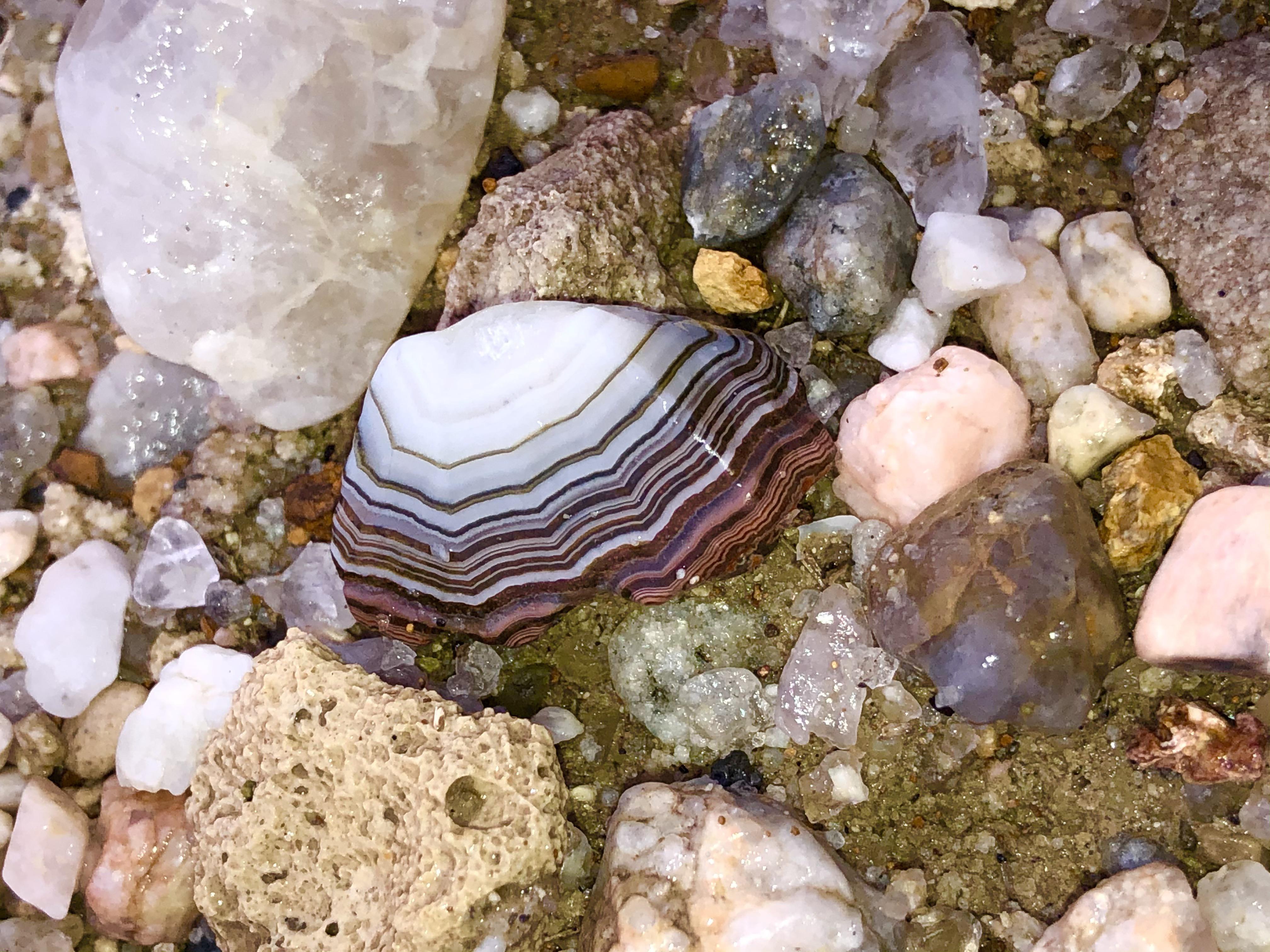 South Dakota Fairburn agate. Found this one about a week ago. This