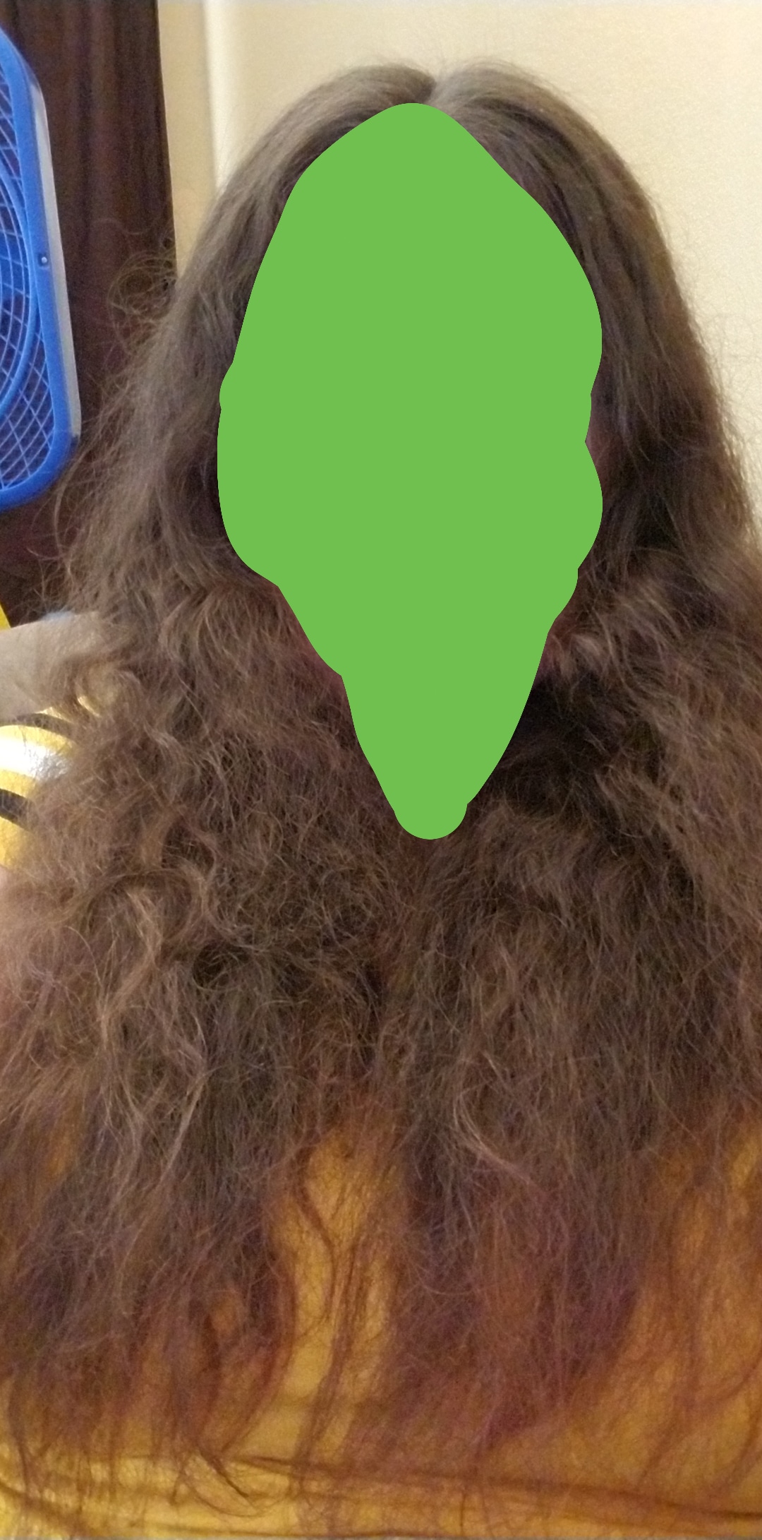 So my hair is like curly/wavy and this is how my curls dry when i brush