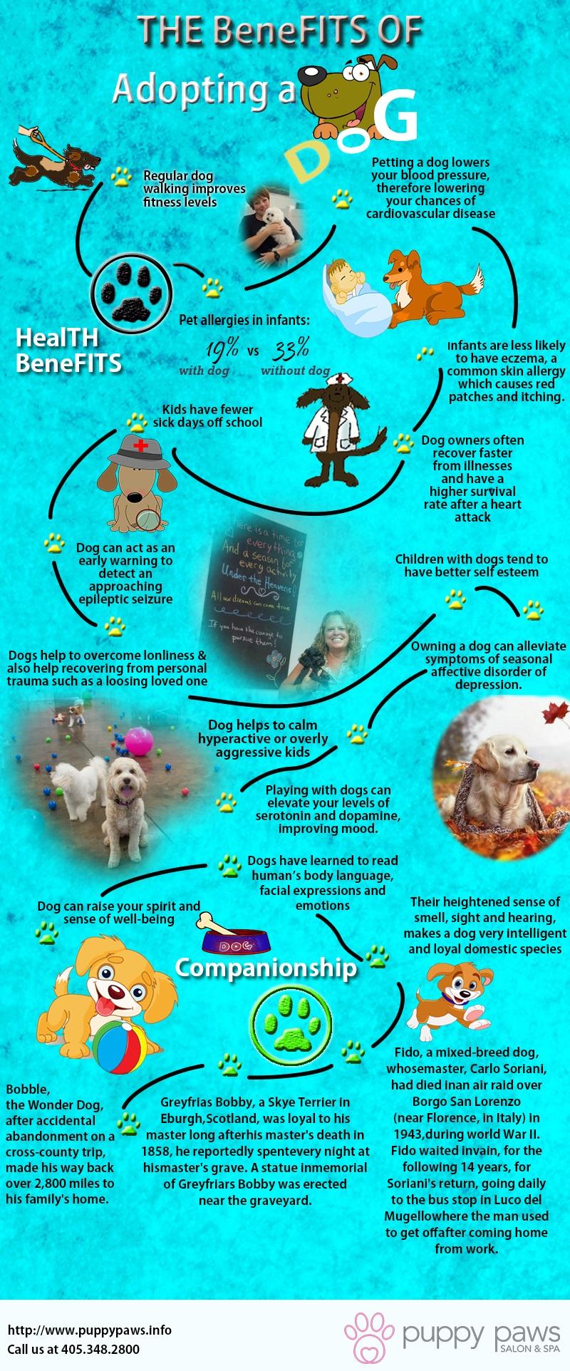 The Benefits of Adopting a Dog Infographics