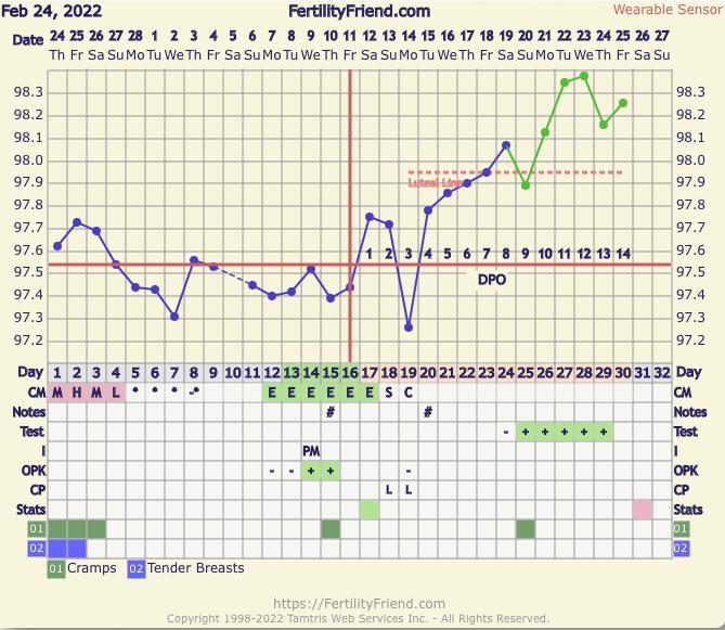 BFP chart with slow rise r/TFABChartStalkers