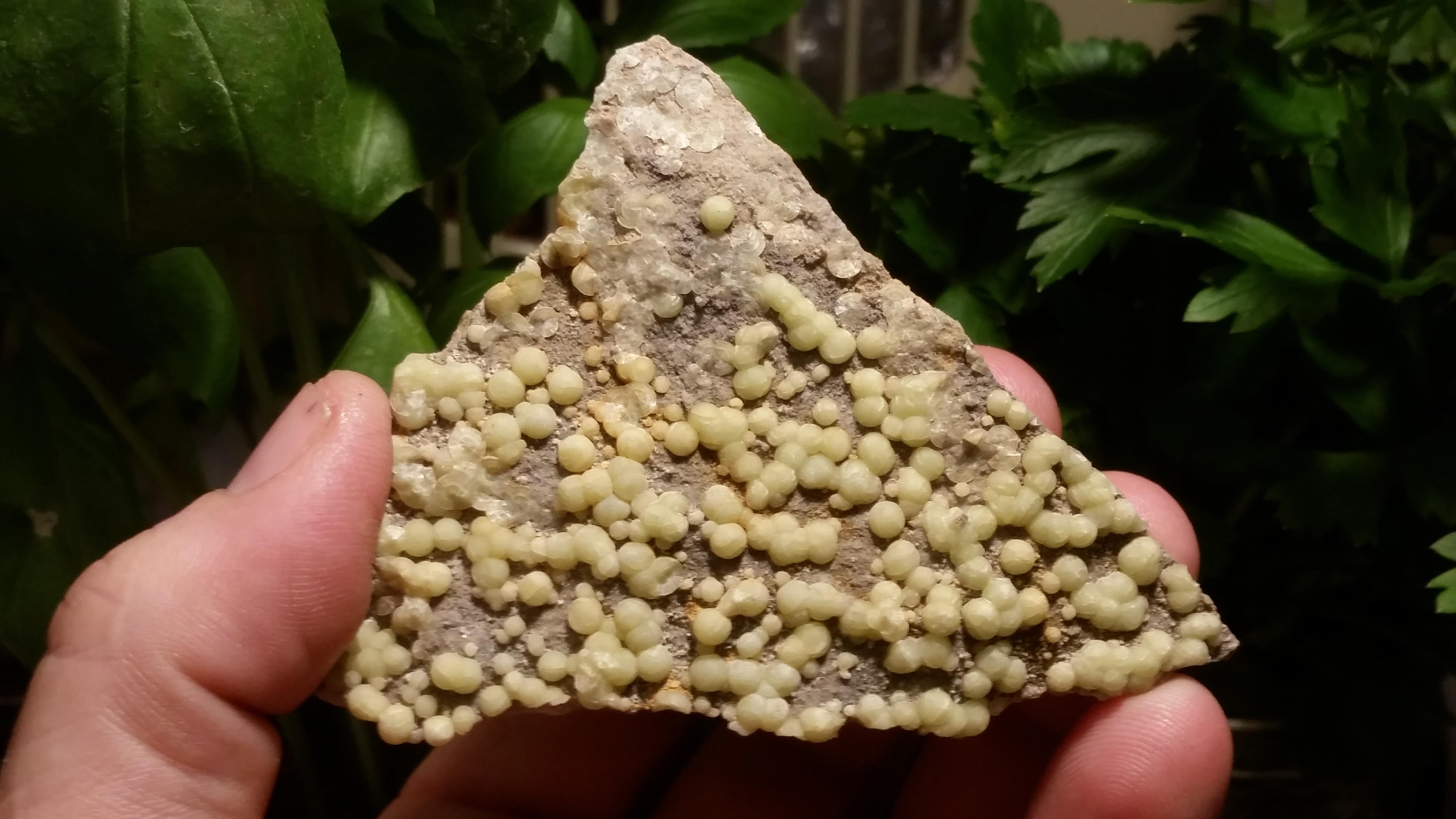 Wavellite National Limestone Quarry, Lime ridge, Mount Pleasant Mills