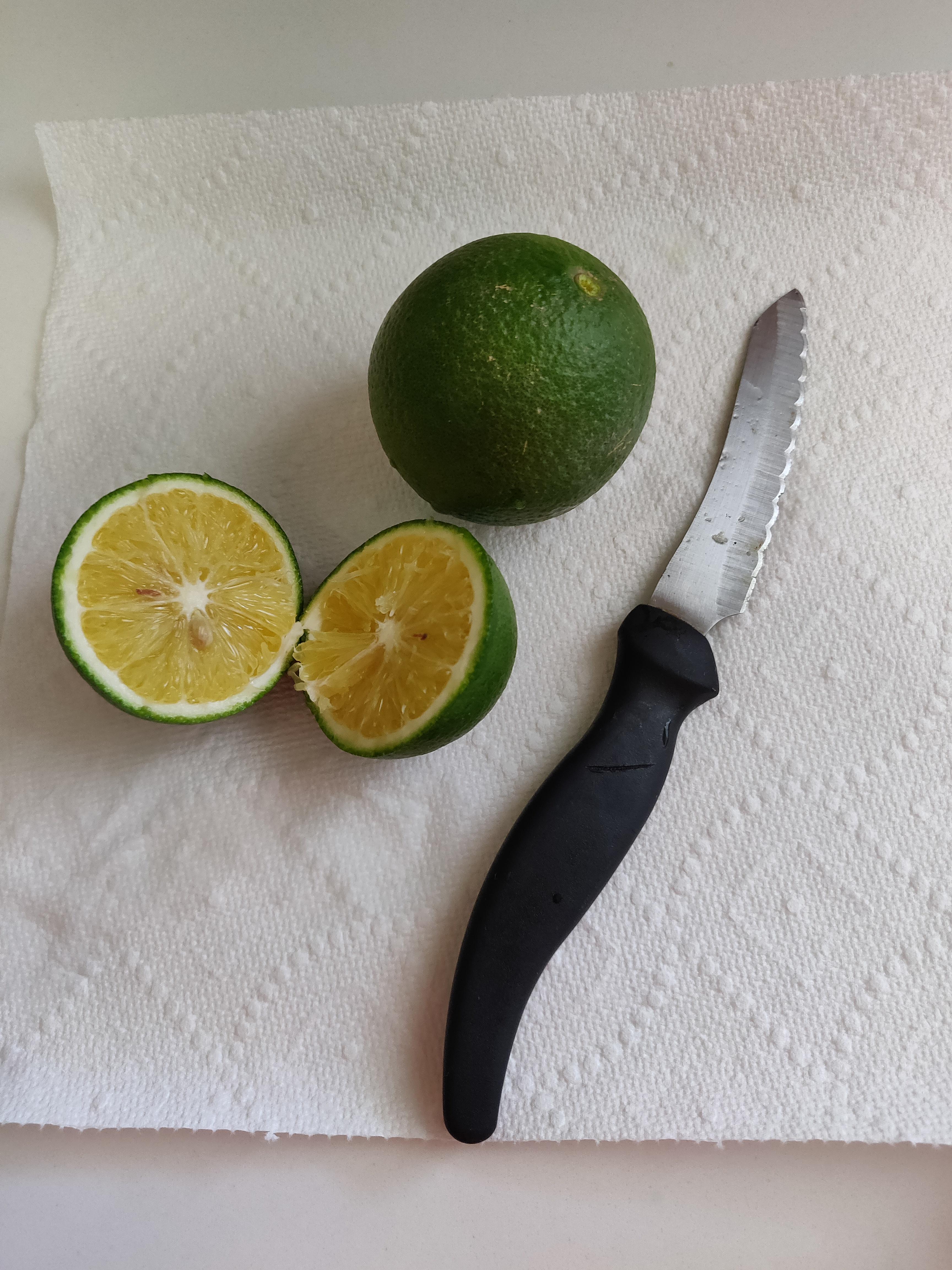 Citrus found in Phoenix, AZ. The fruits have never ripened to orange