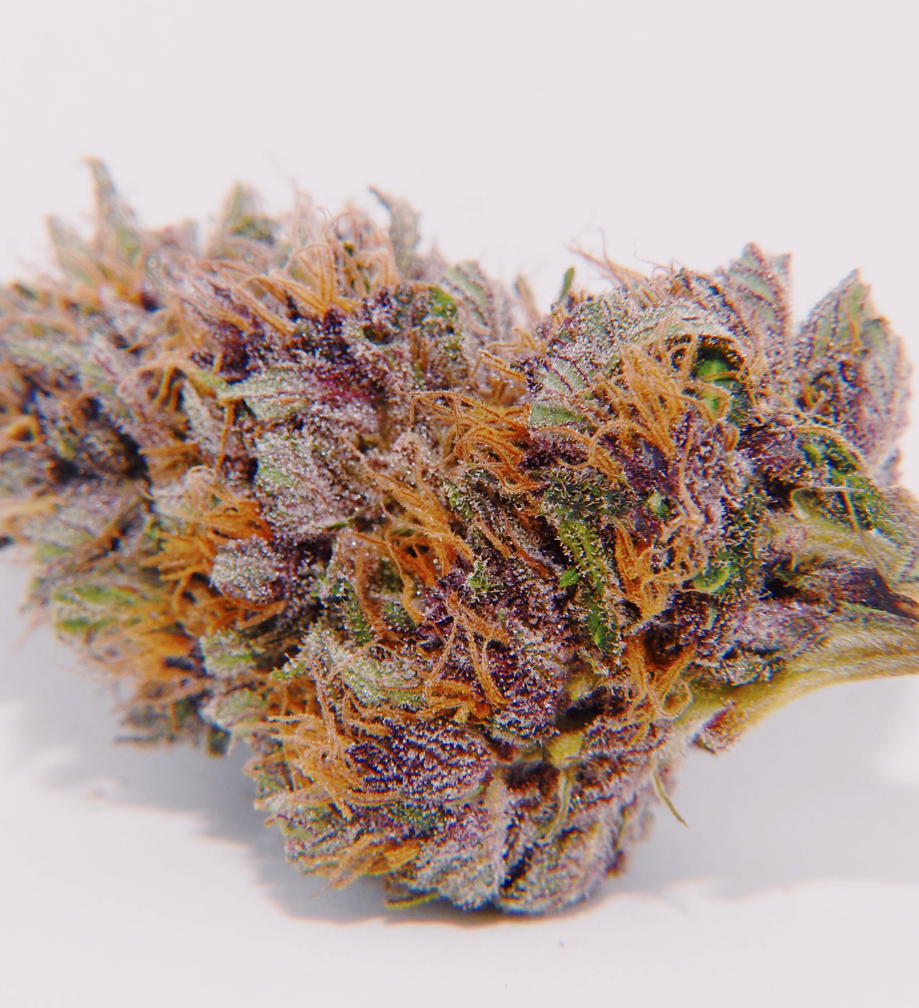 489 best Pink Kush images on Pholder The OCS, Microgrowery and Rec Pics