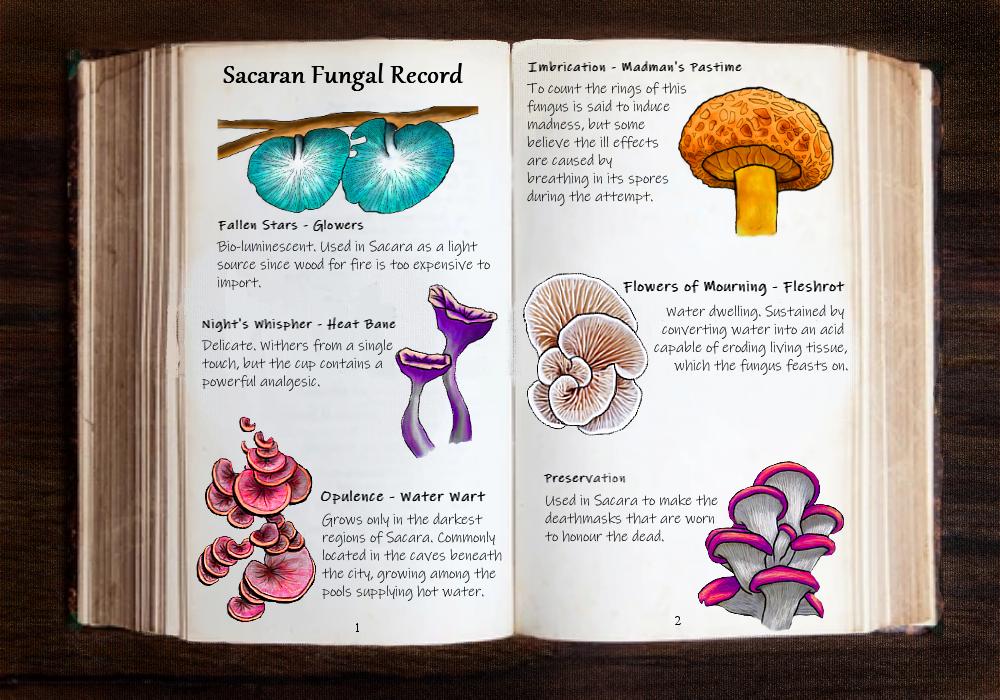 In Sacara, fungi grow everywhere on the walls and rooftops, even on