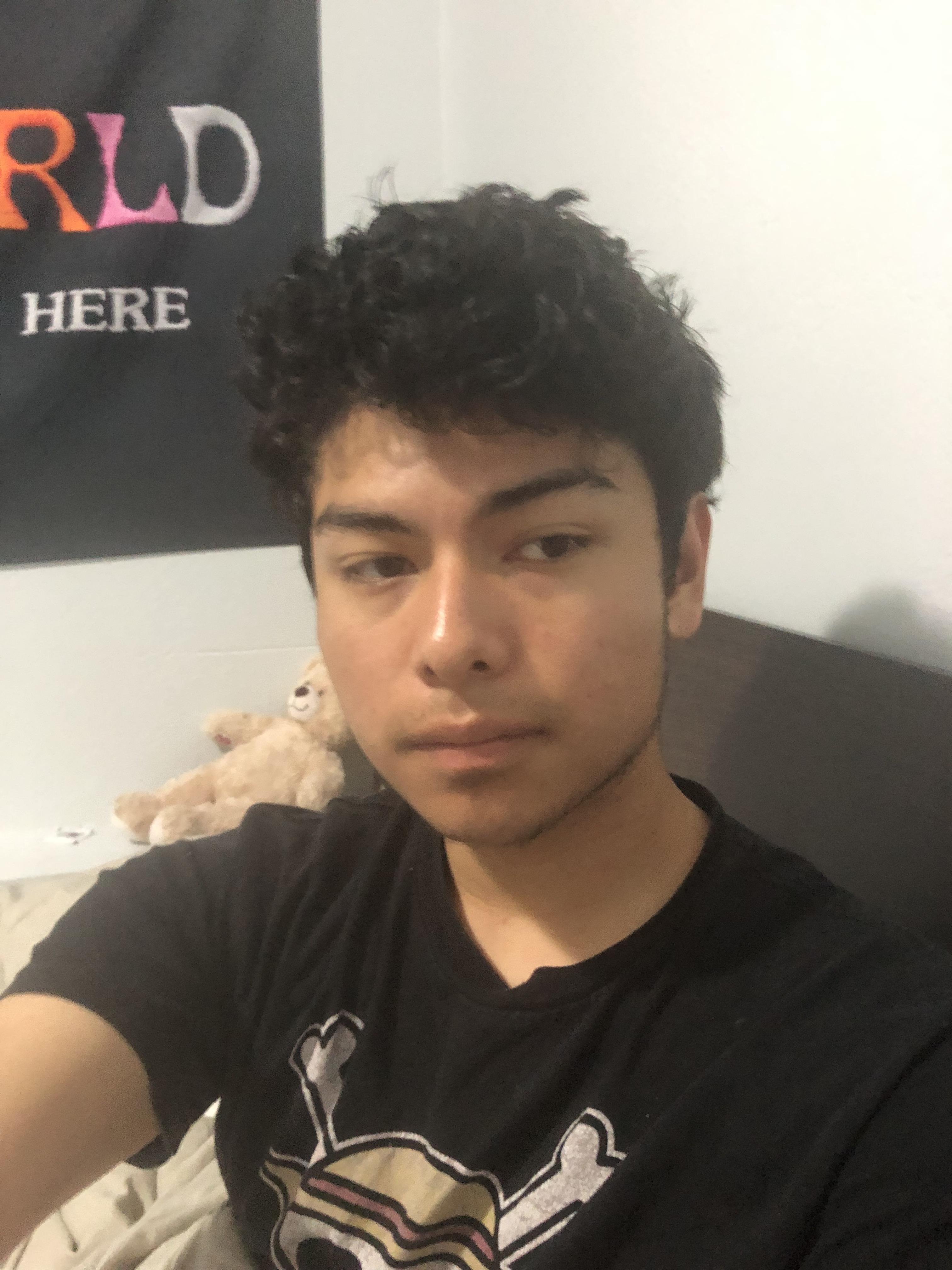 My hair has always more or less looked like a curly birds nest, I’ve