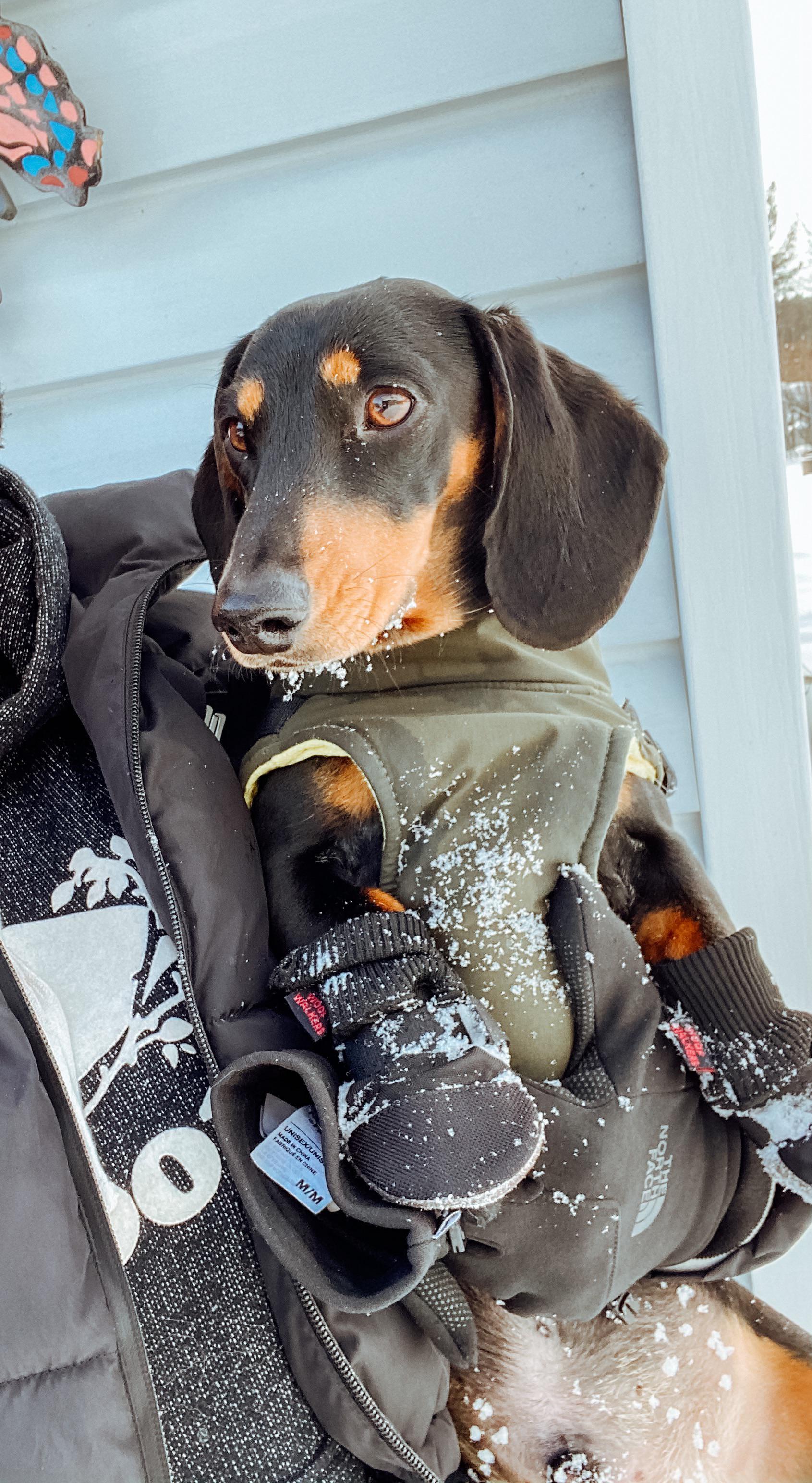 After 6 sets we finally have boots that fit and stay on for an entire
