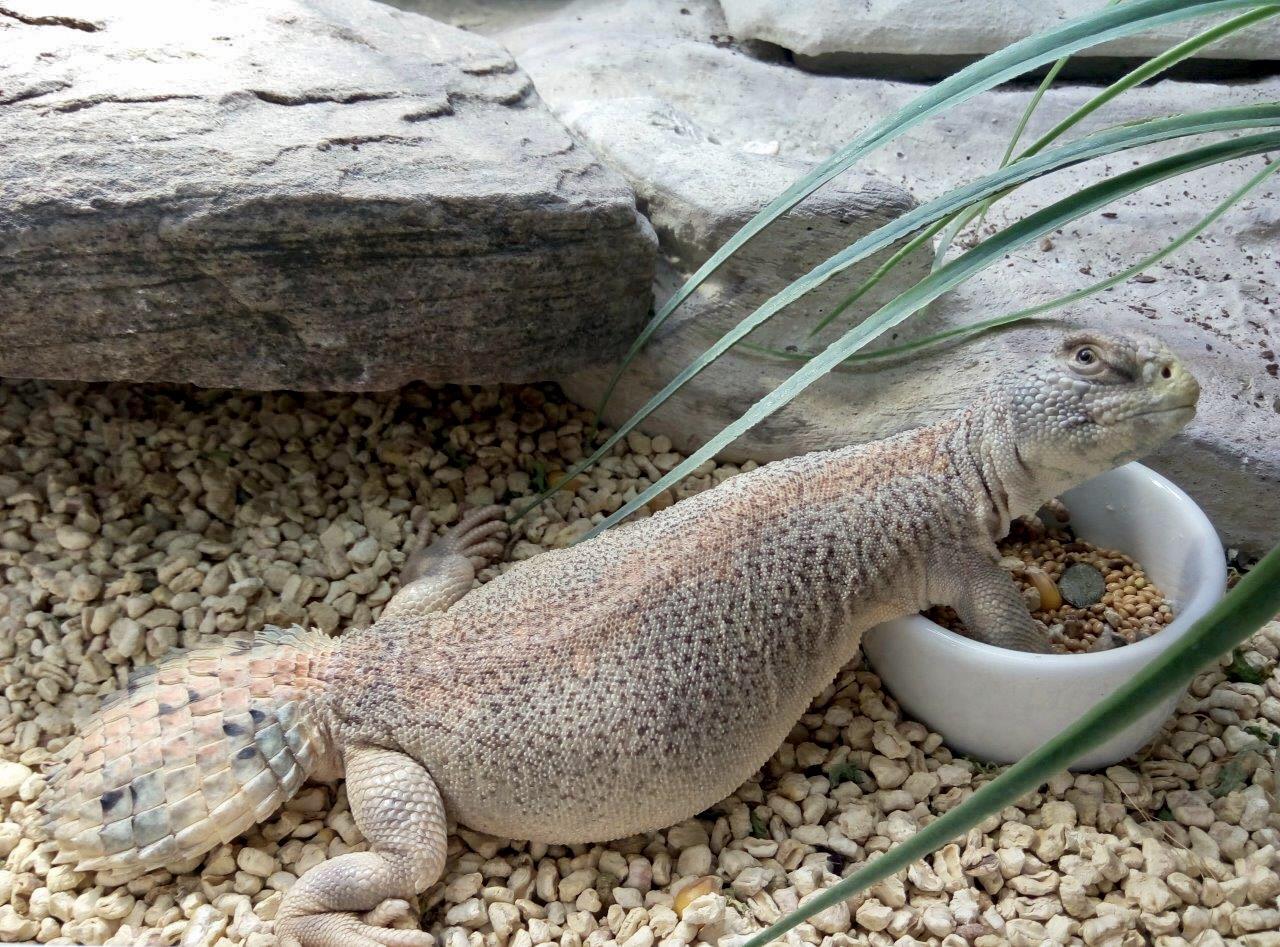 This isn’t my picture, but I just wanted to share this beautiful Omani