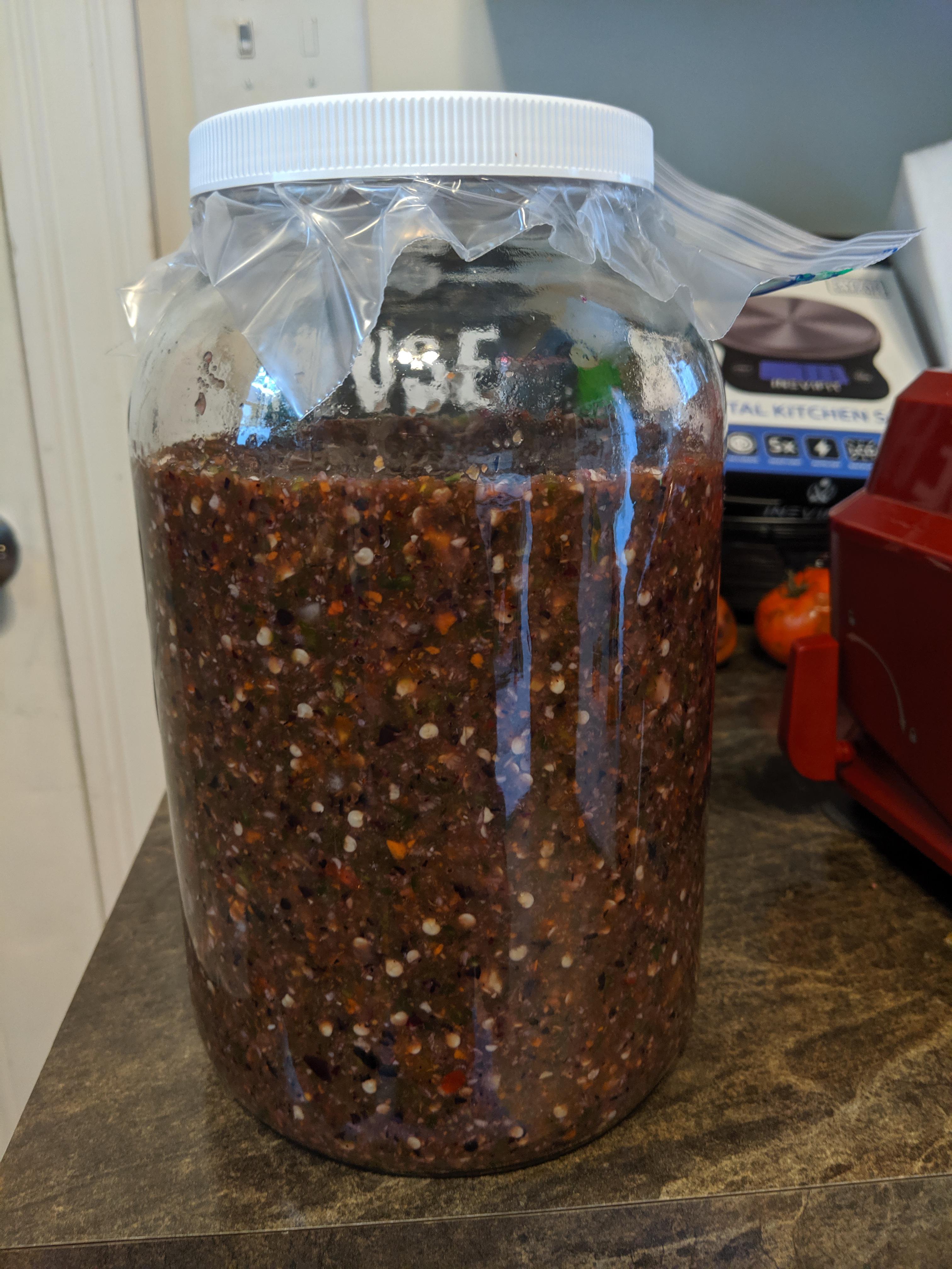 Jalapeno blueberry hot sauce ready to ferment! r/fermentation