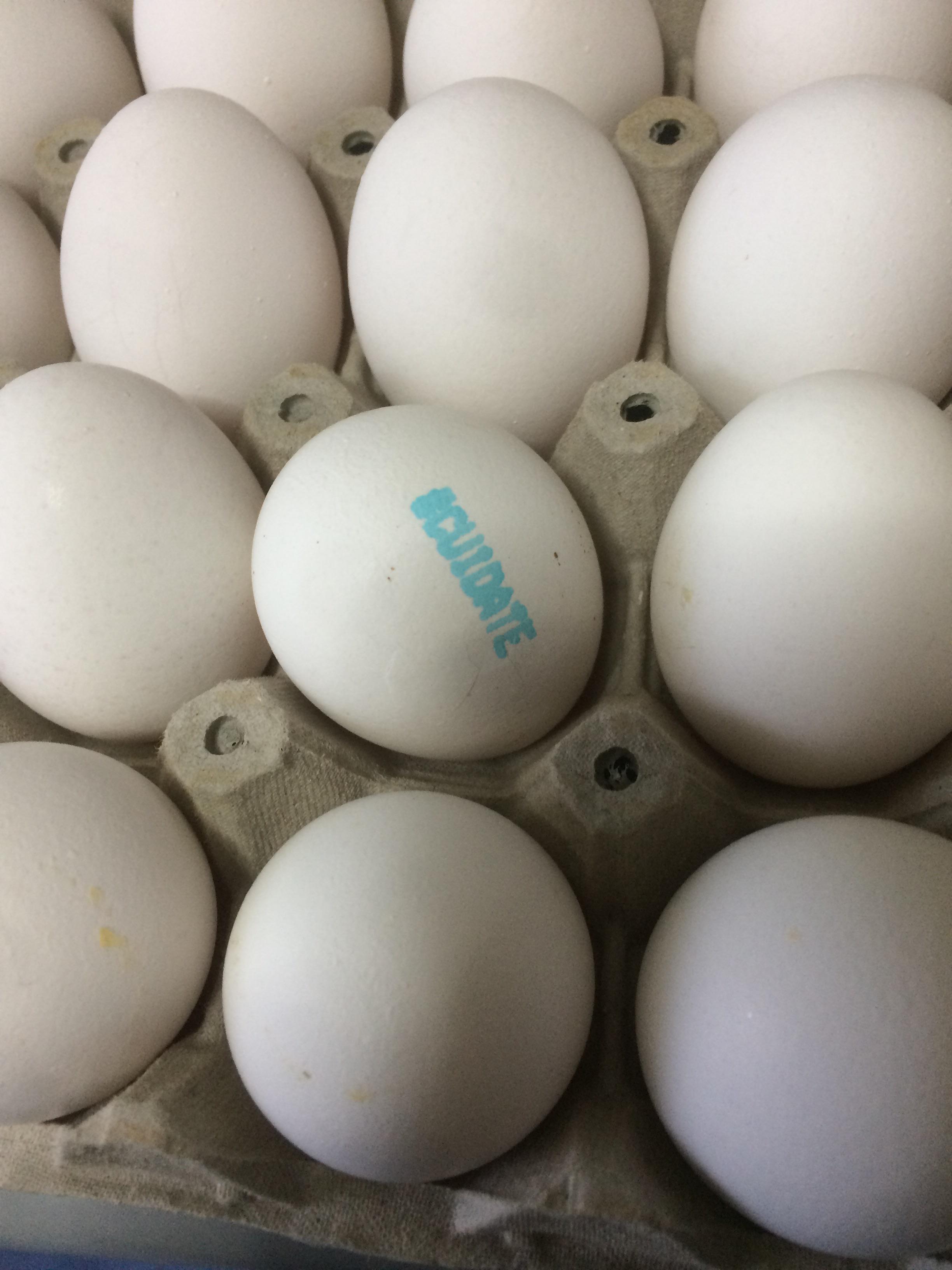 It says take care in spanish, egg easter egg IRLEasterEggs