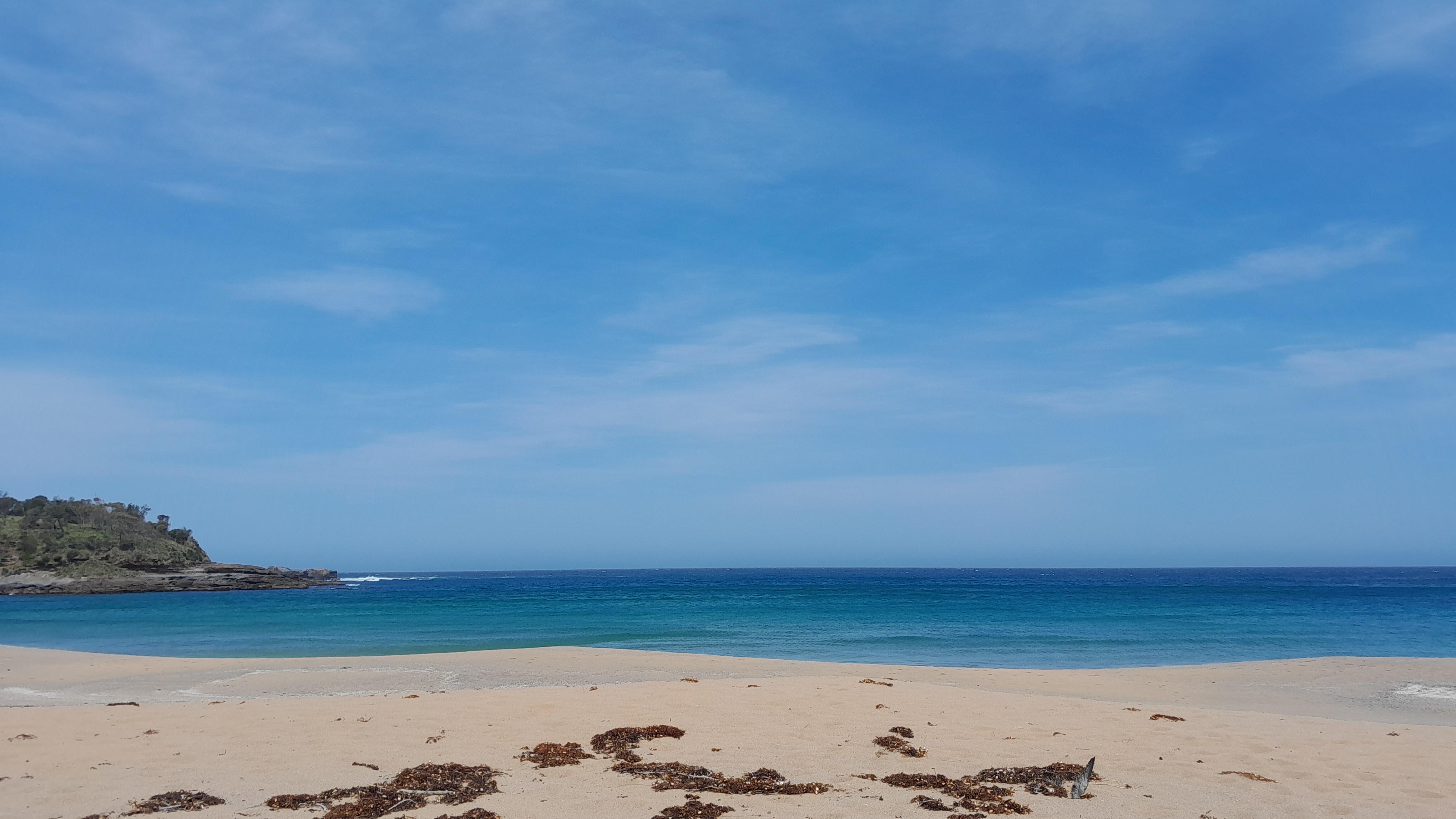 Couldn't make it down today, had to nude up at Myrtle beach instead