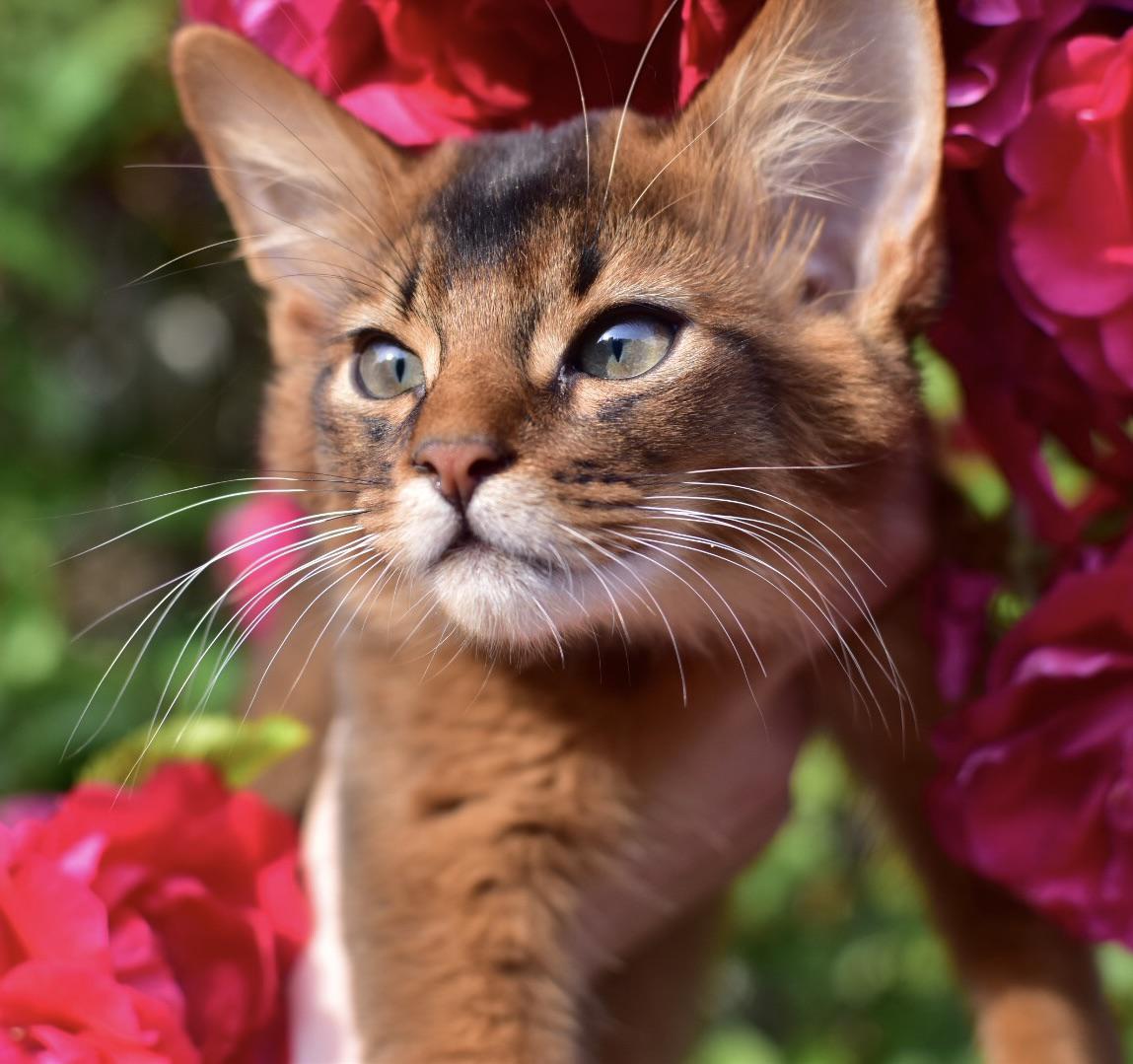 1039 best Bondi images on Pholder Sydney, Political Humor and Brian